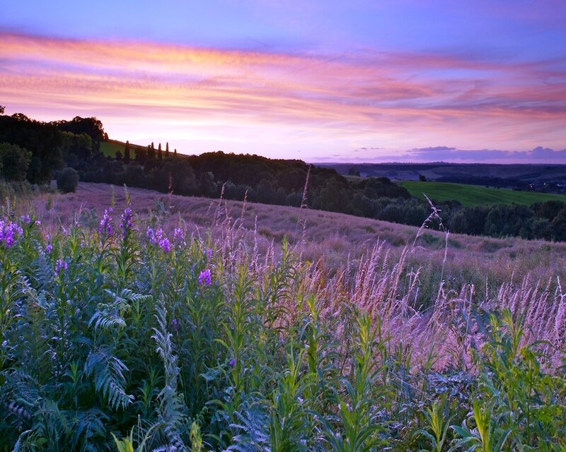 Sunset over a purple field
