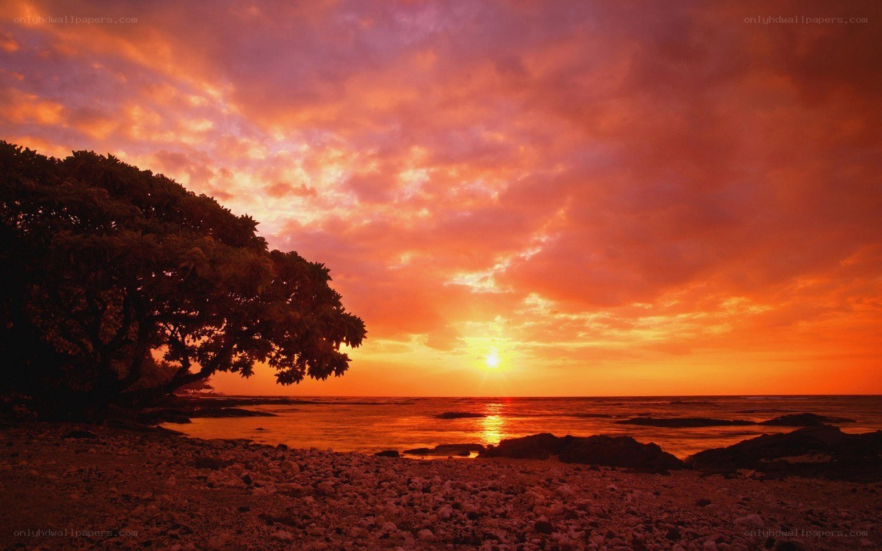 sunset over a rocky beach