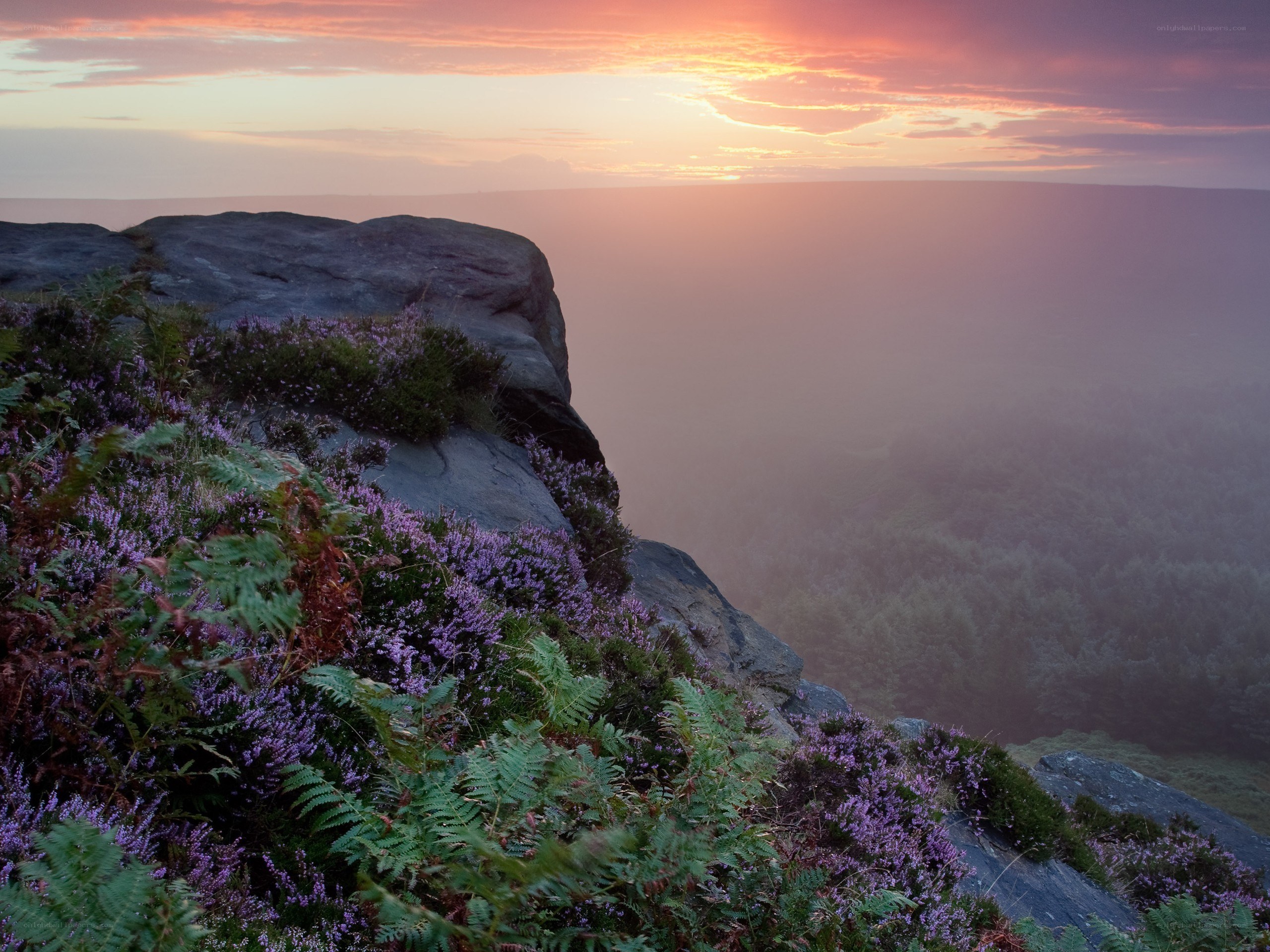 Sunset over a rocky cliff