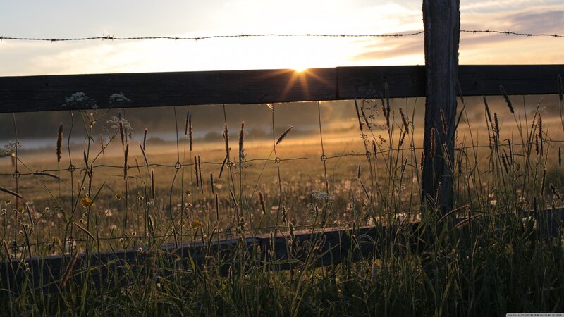 Sunset over a rural fence