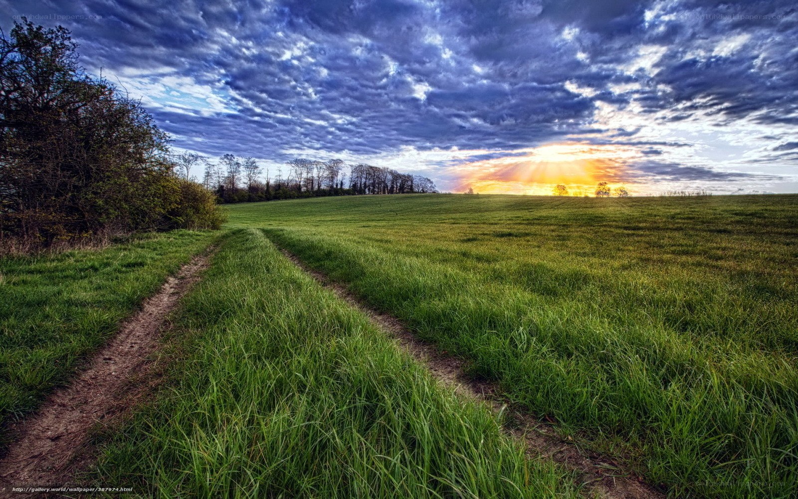 Sunset over a rural field