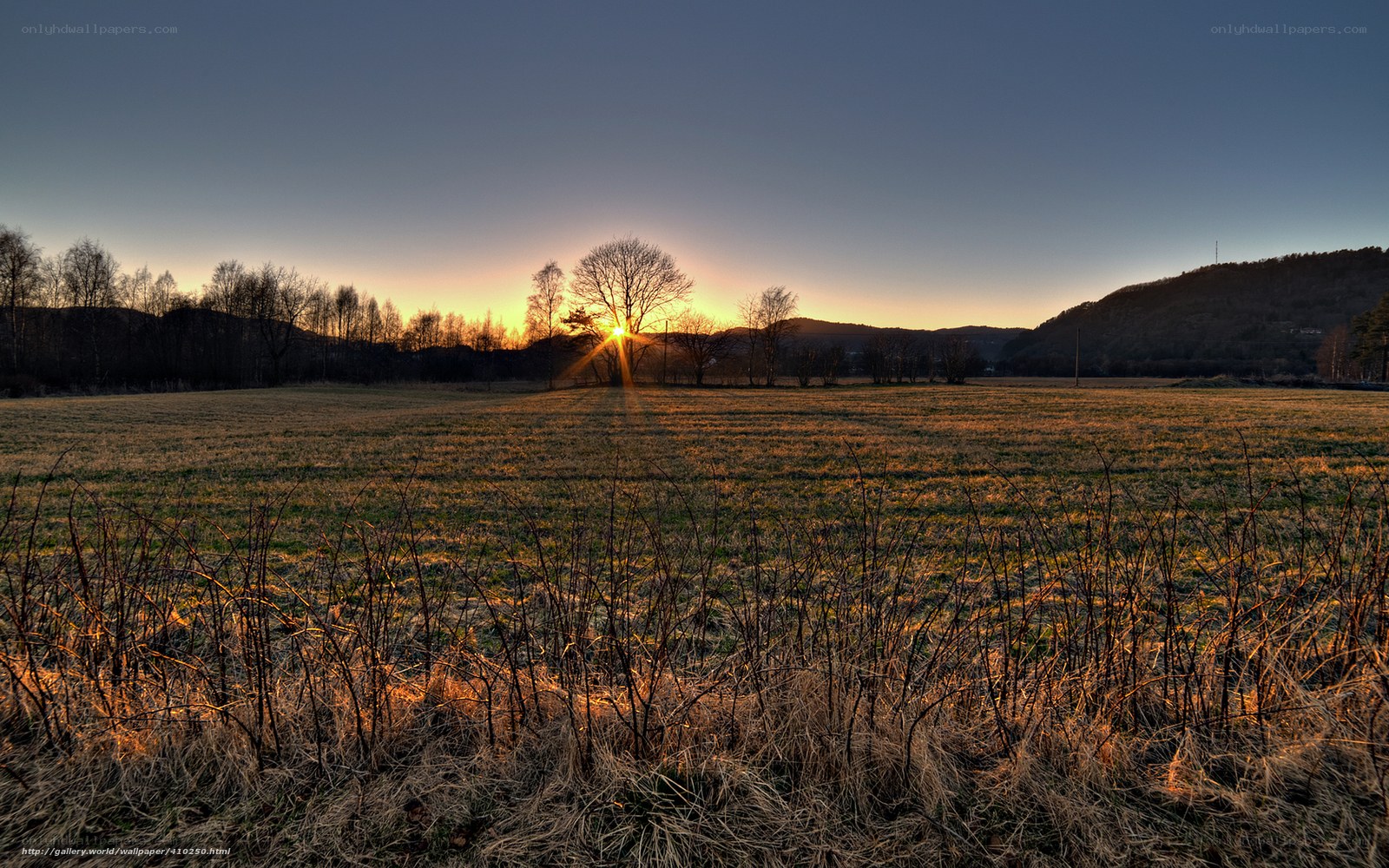 Sunset over a rural field