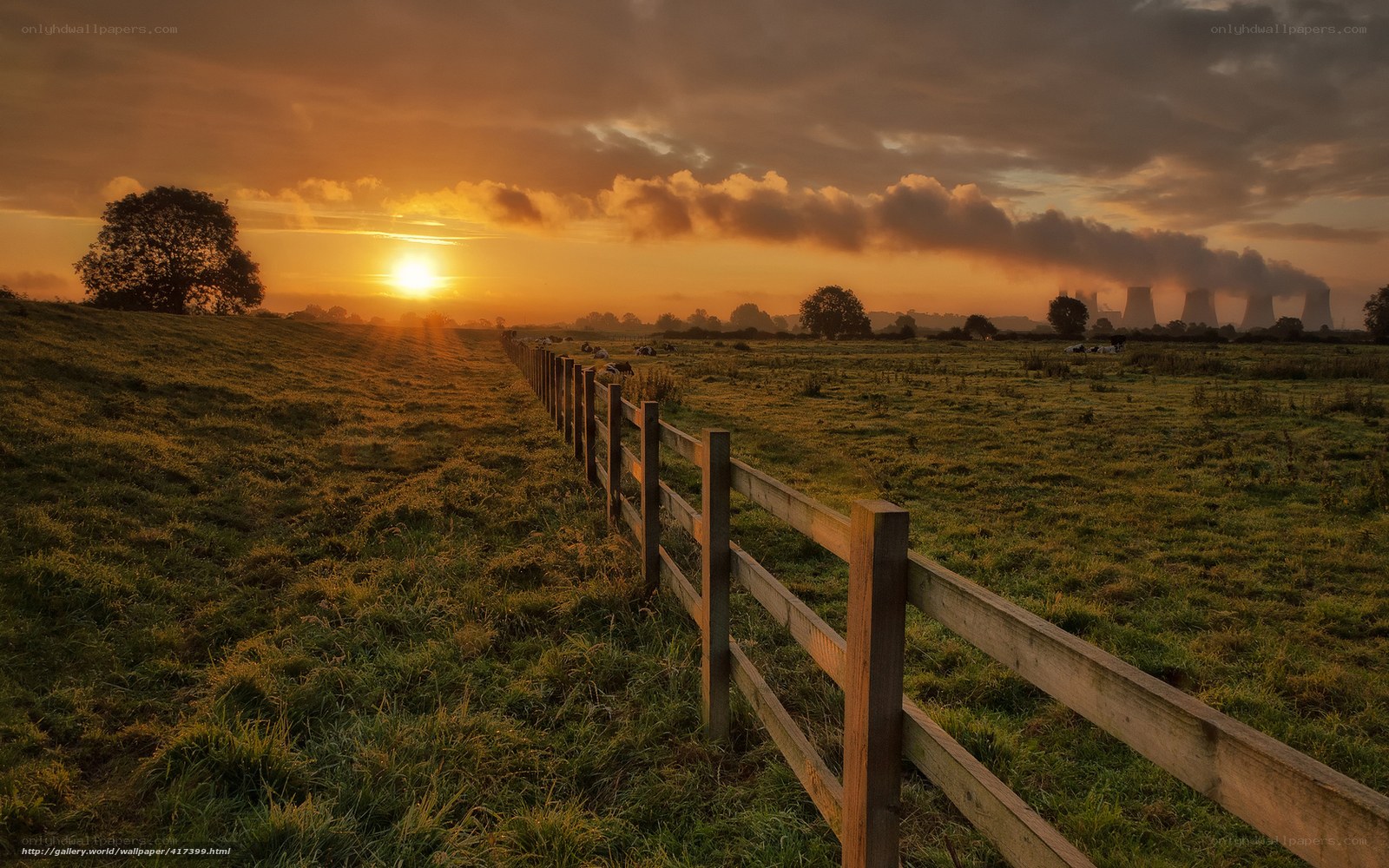 Sunset over a rural field