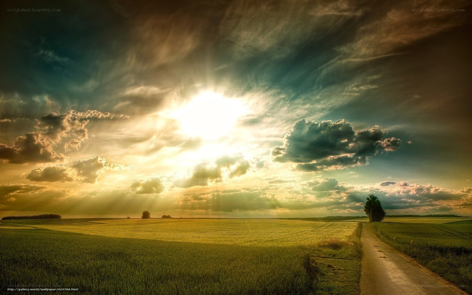 Sunset over a rural field