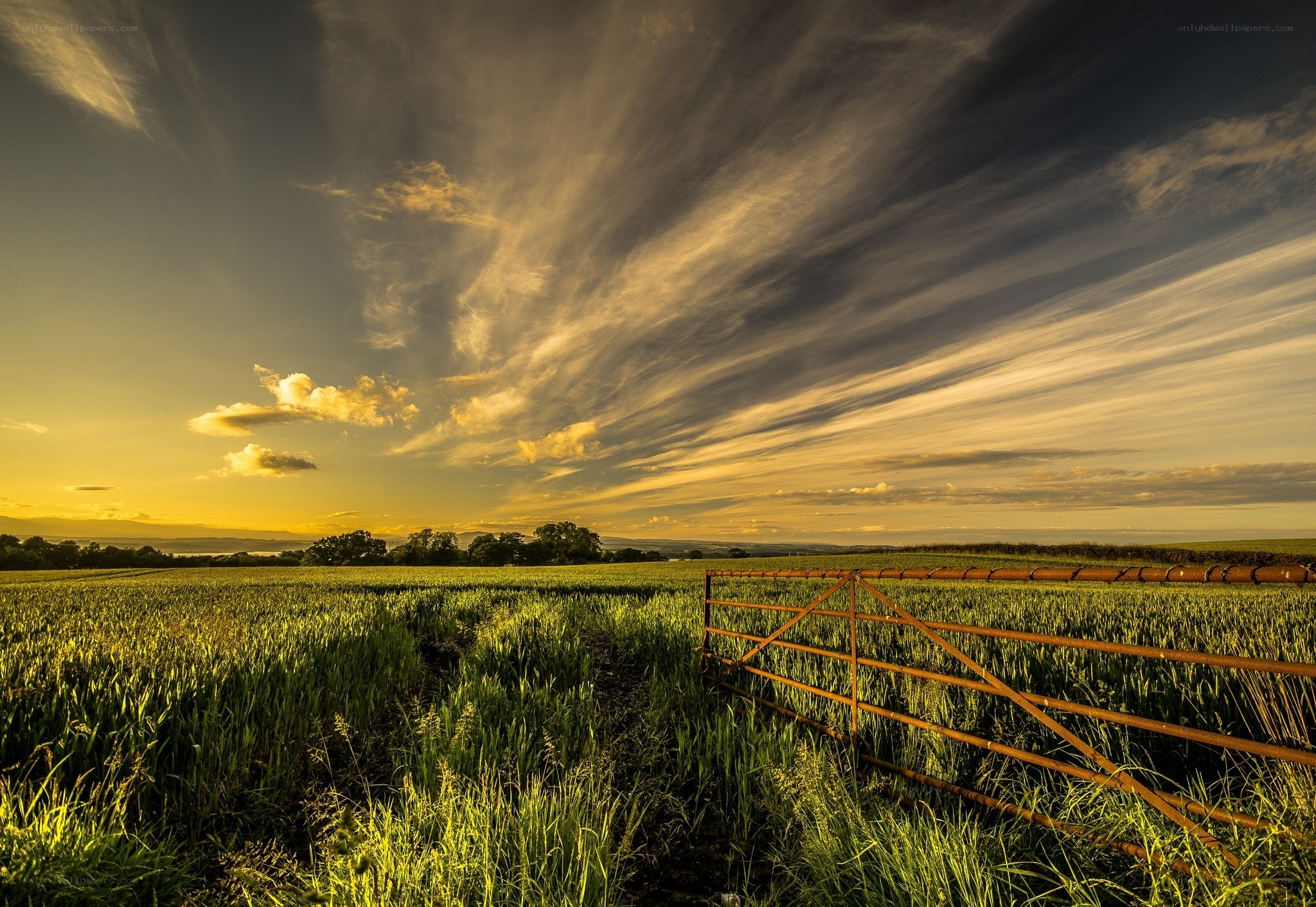 Sunset over a rural field