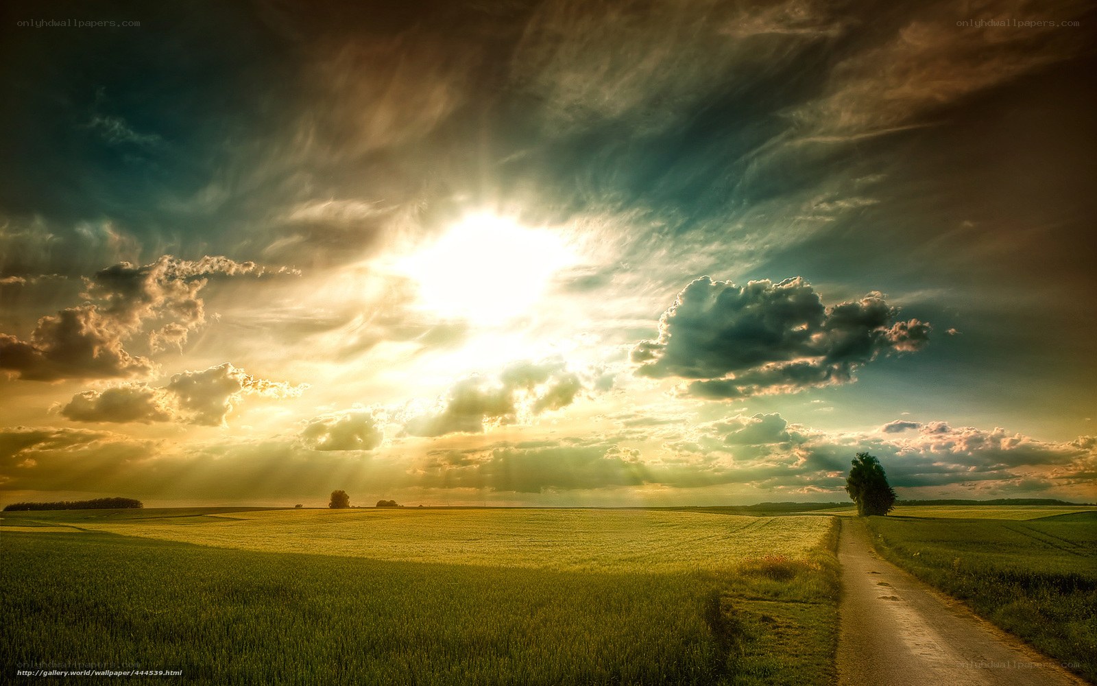 Sunset over a rural field