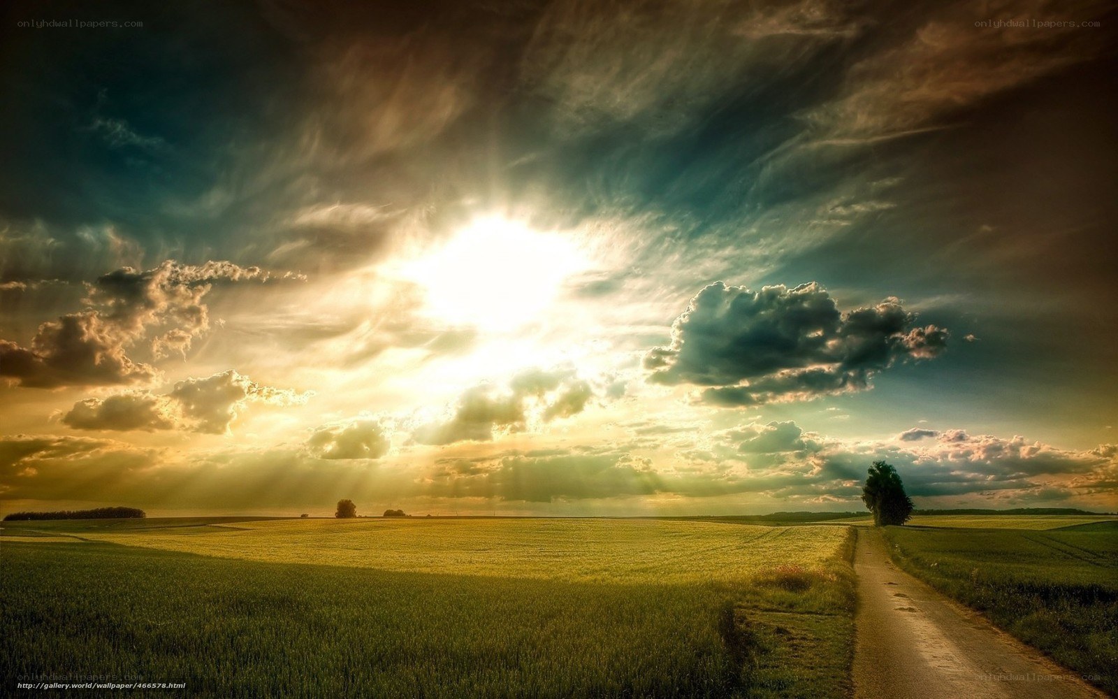 Sunset over a rural field