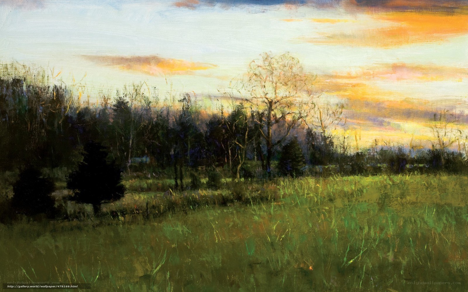 Sunset over a rural field