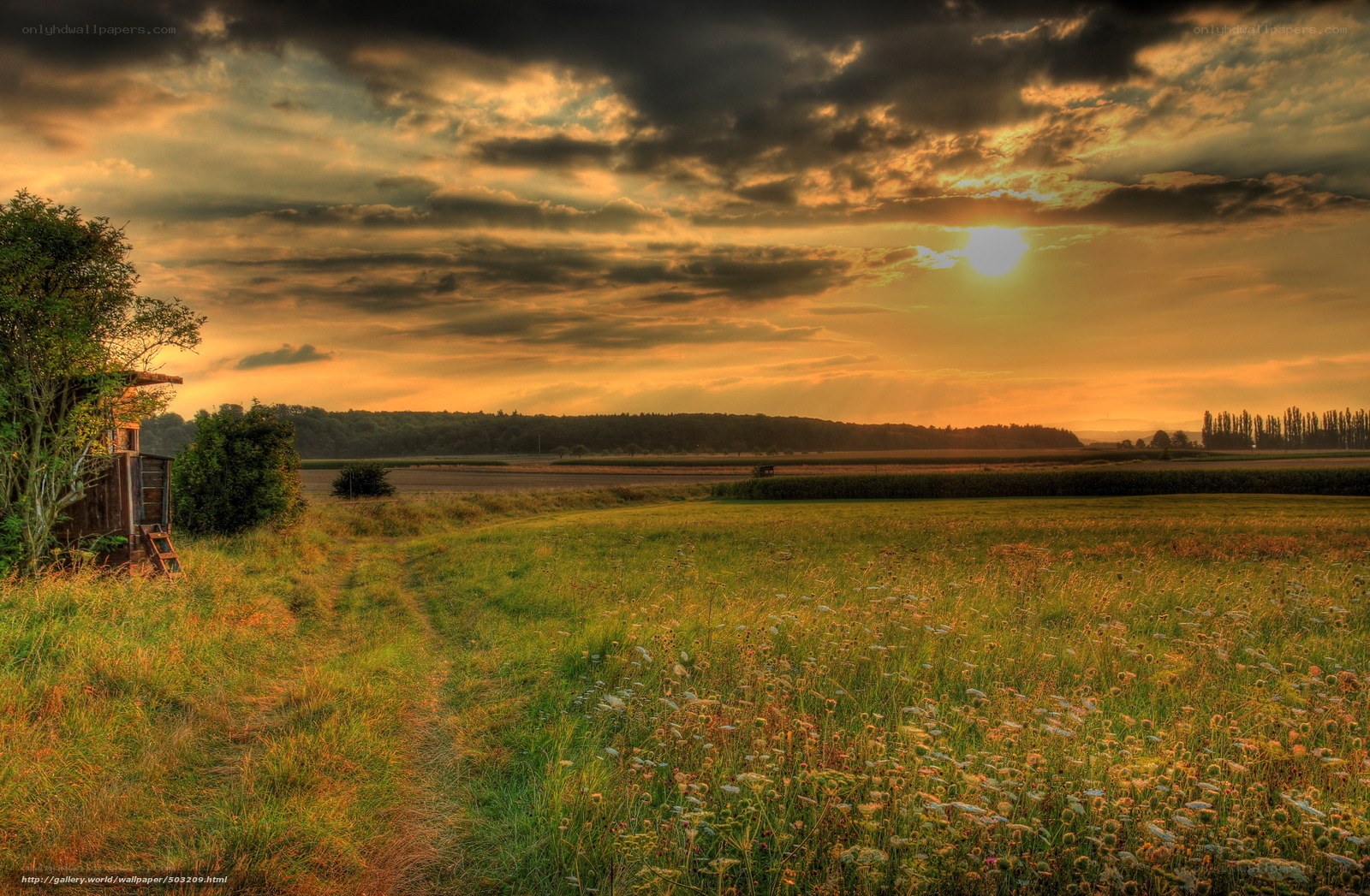 Sunset over a rural field