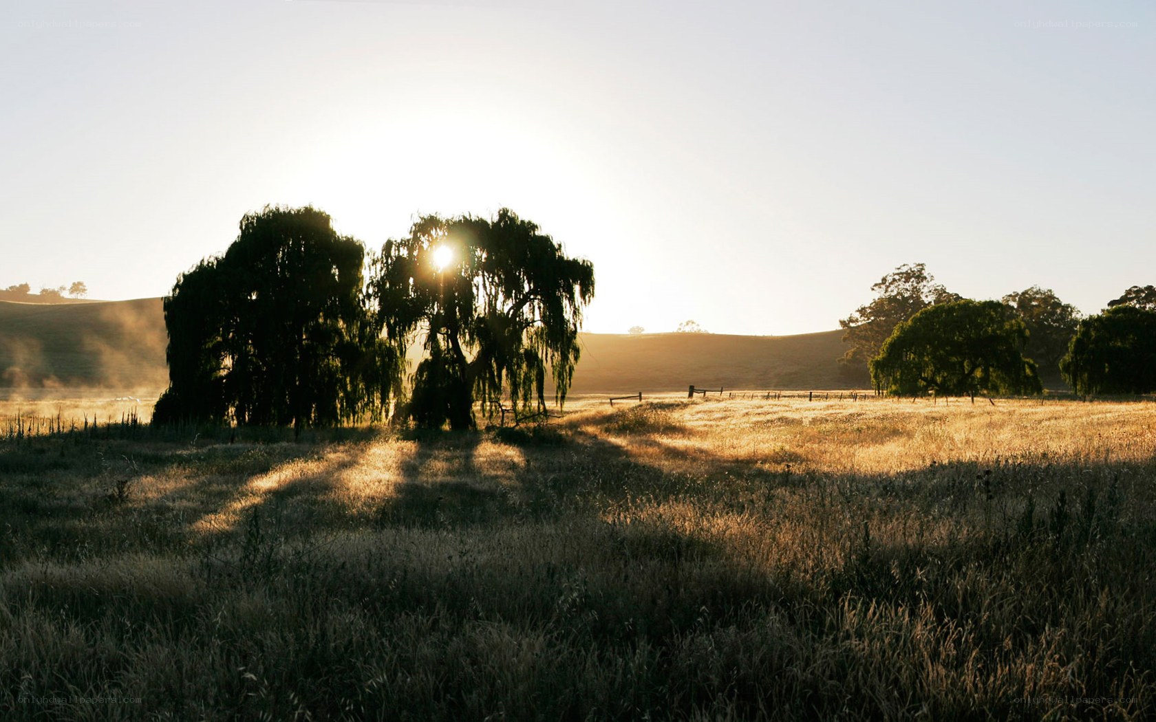 Sunset over a rural field