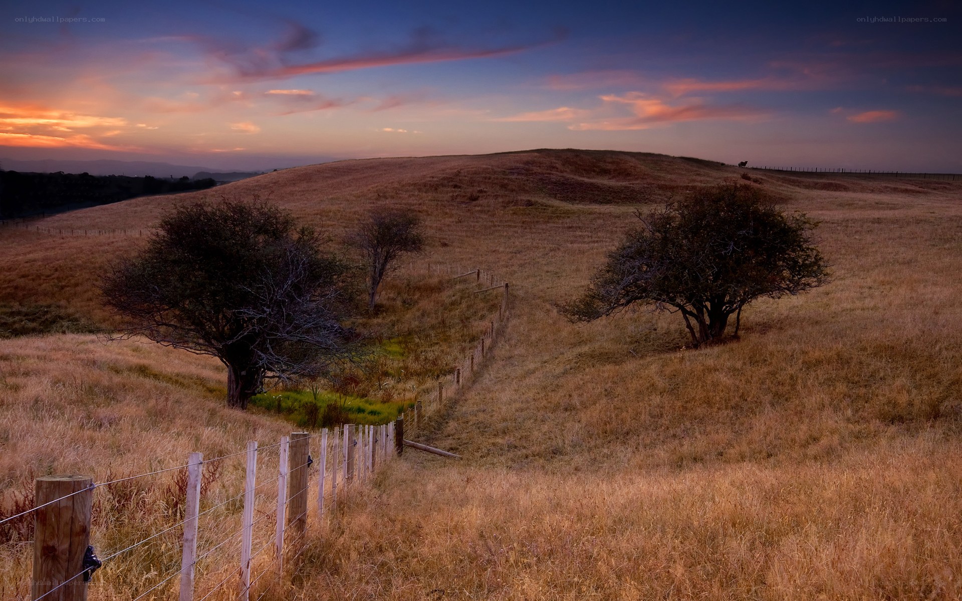 Sunset over a rural field