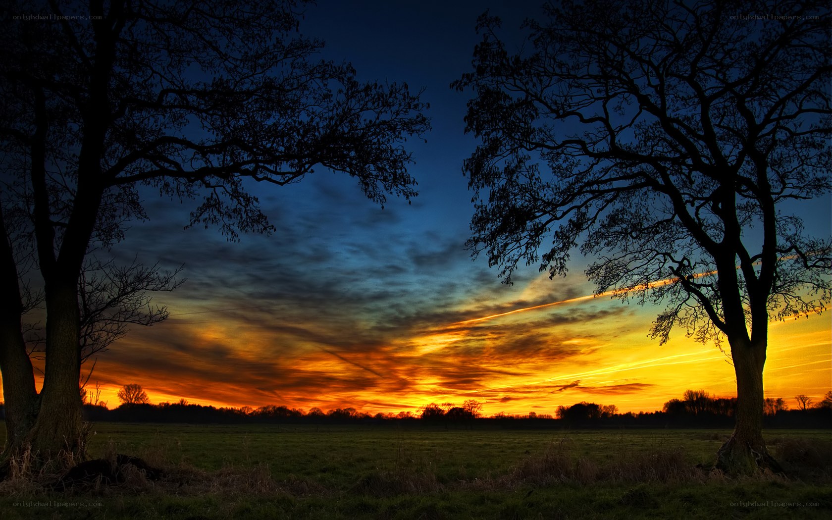 Sunset over a rural field
