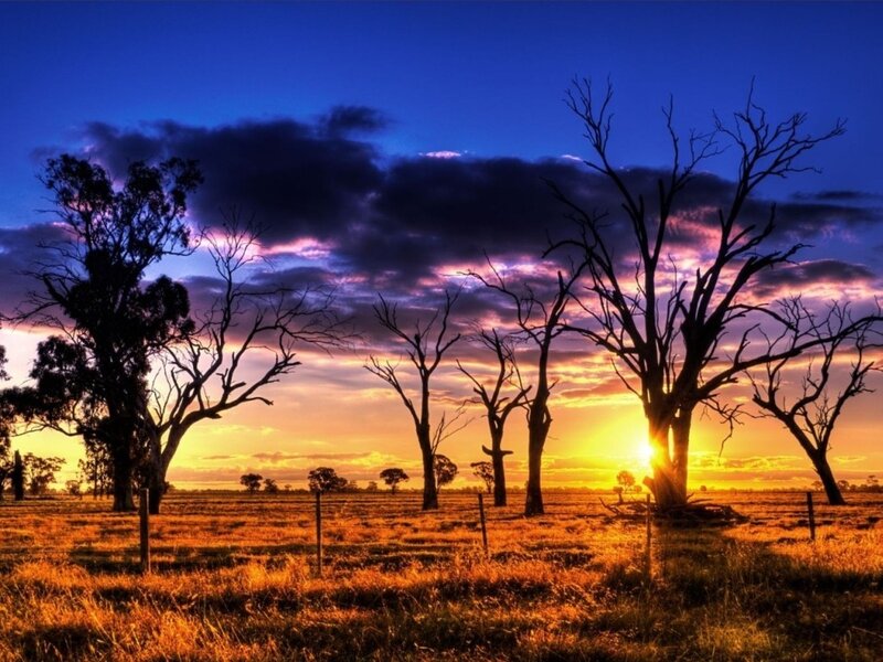 Sunset over a rural field