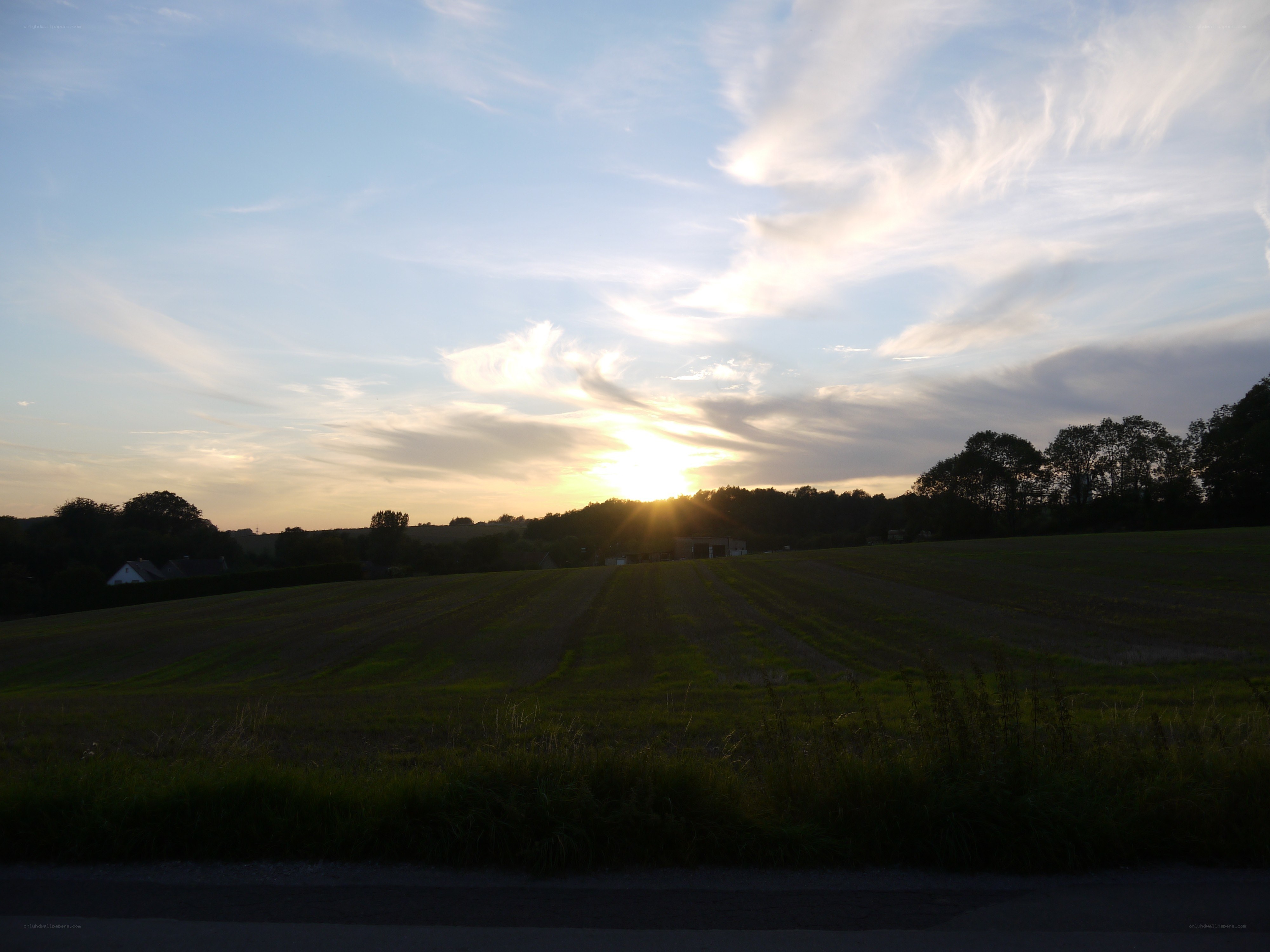 Sunset over a rural field