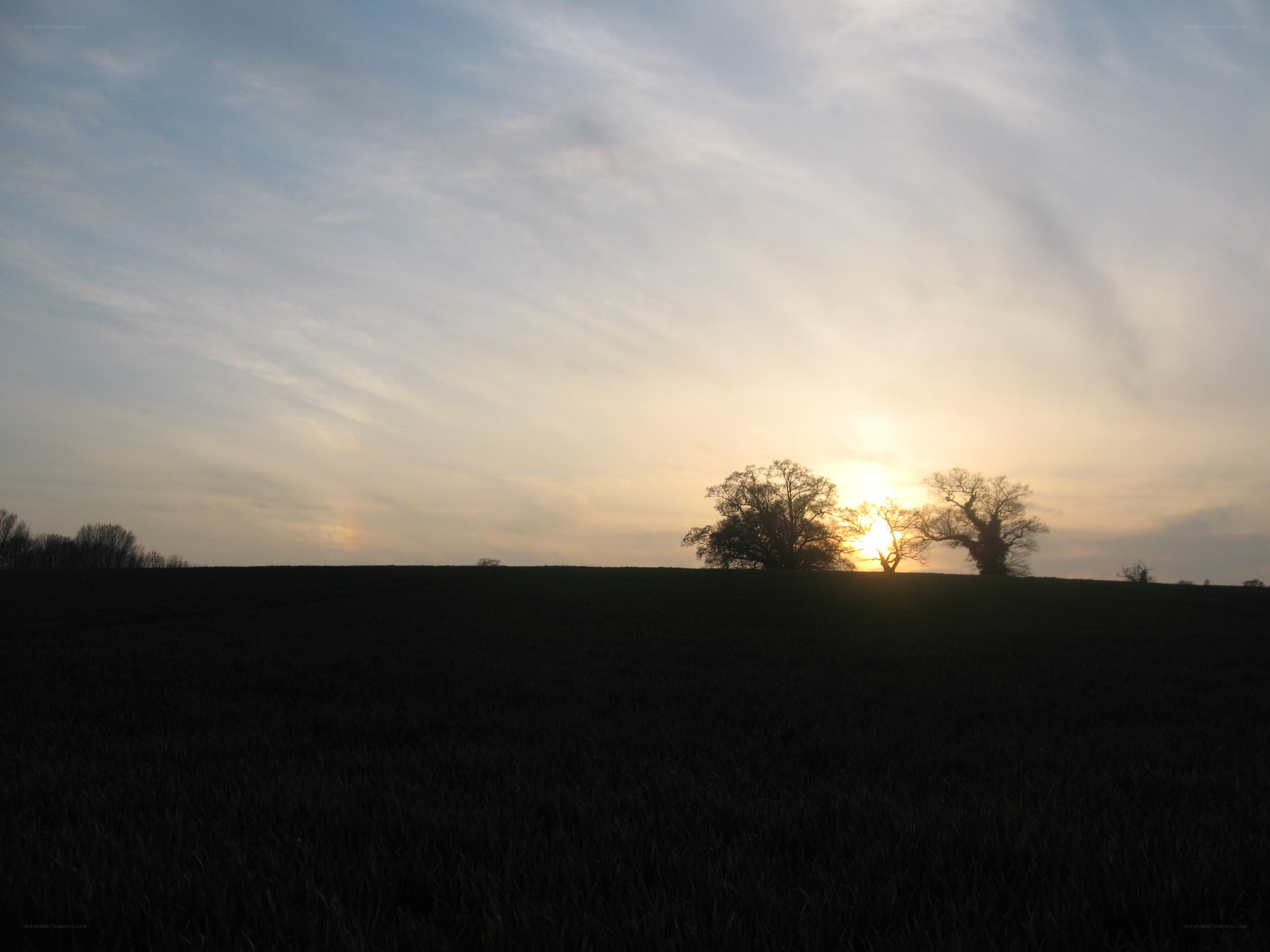 Sunset over a rural field