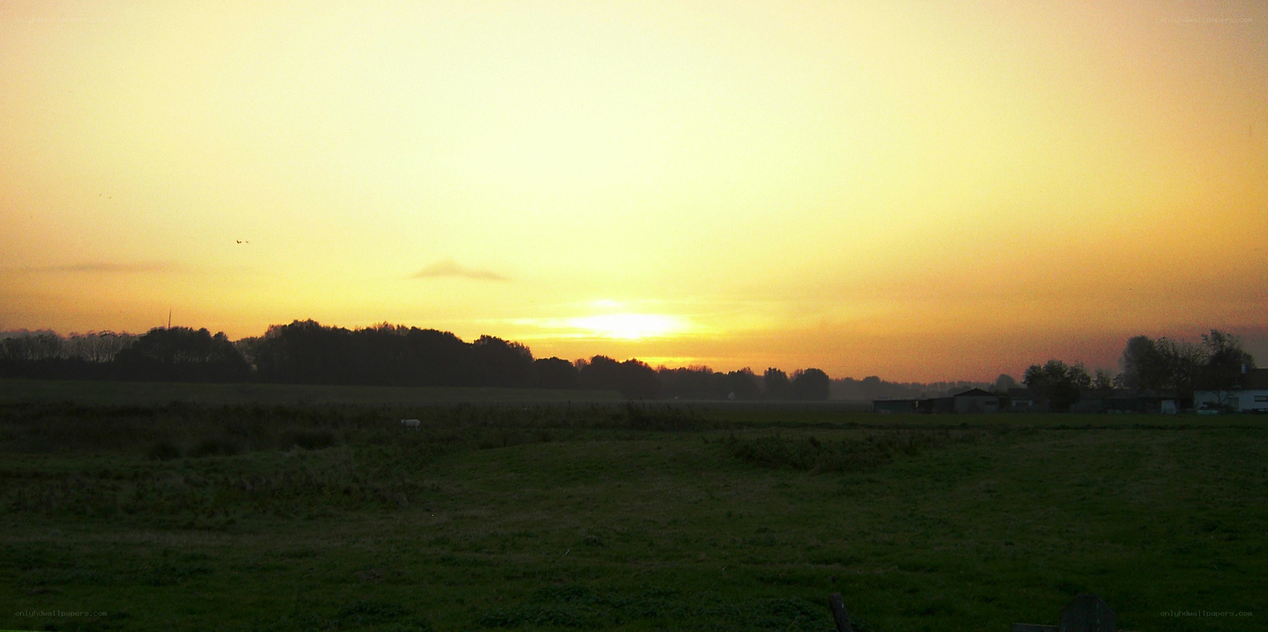 sunset over a rural field