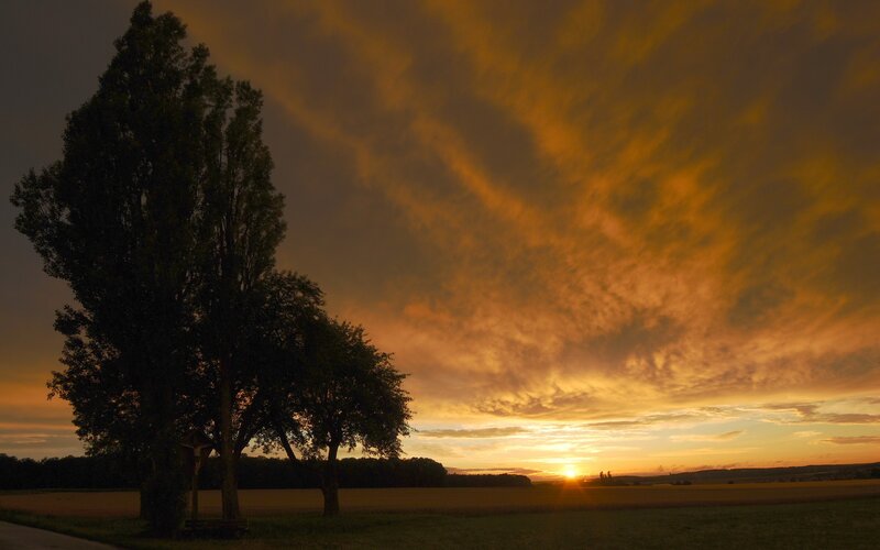 Sunset over a rural field