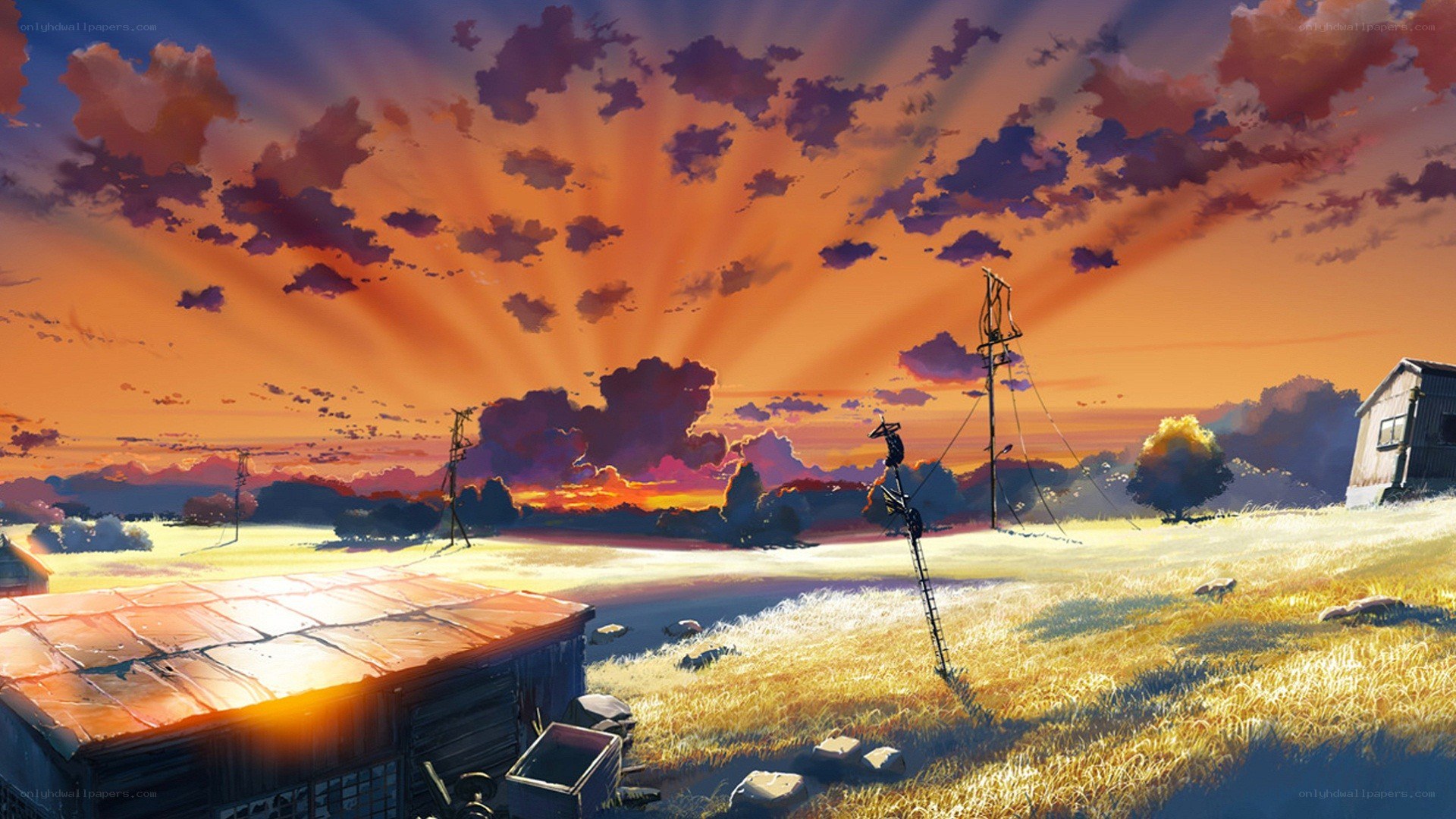 Sunset over a rural field