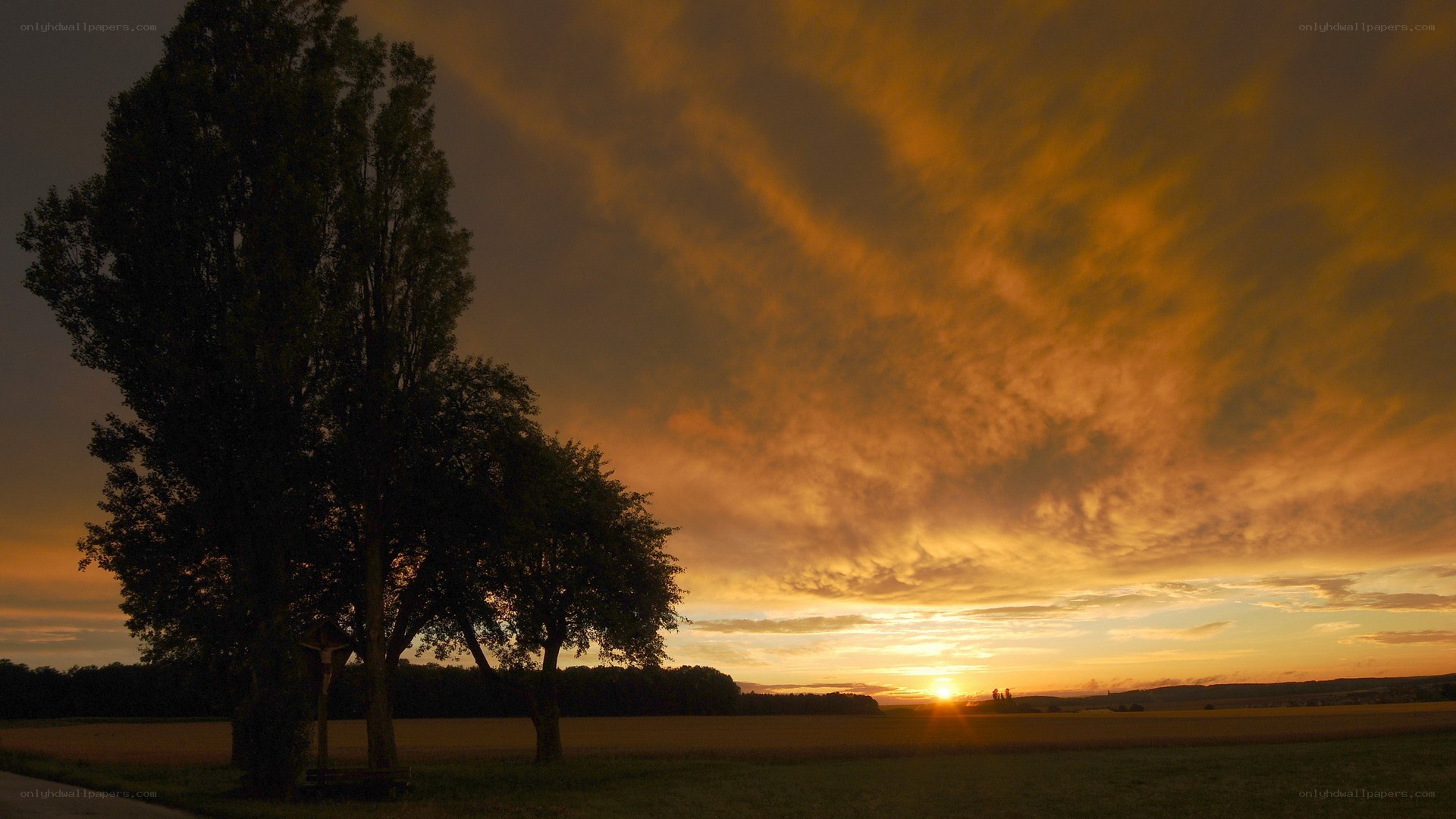 Sunset over a rural field