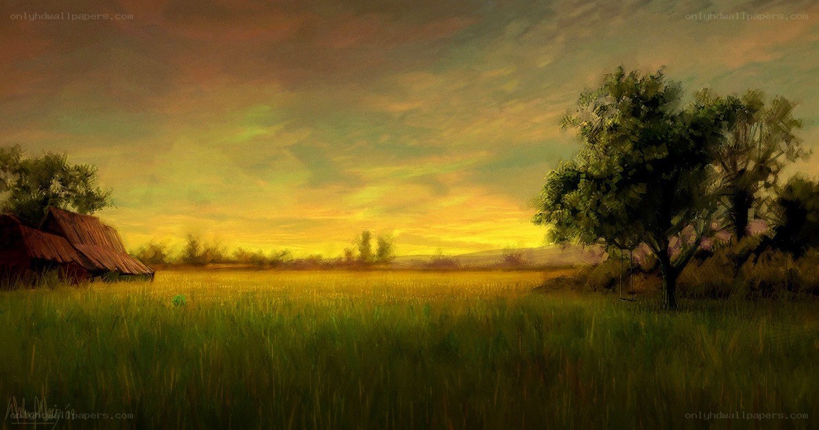 Sunset over a rural field