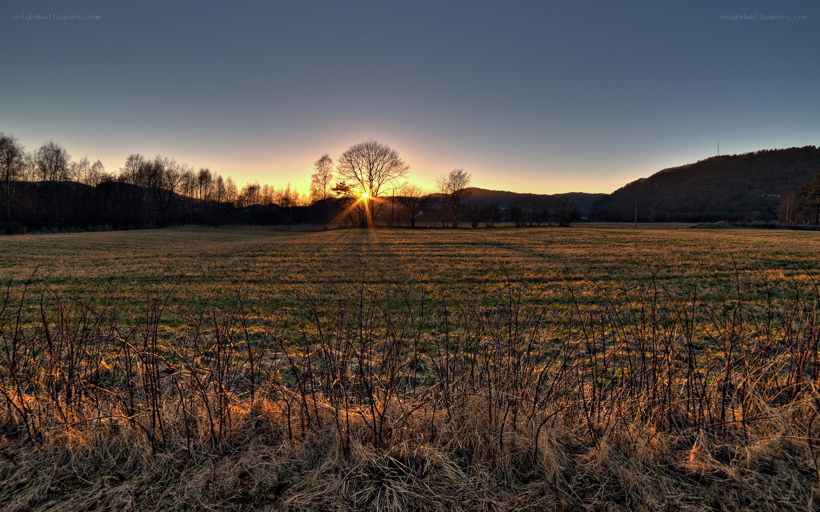 Sunset over a rural field