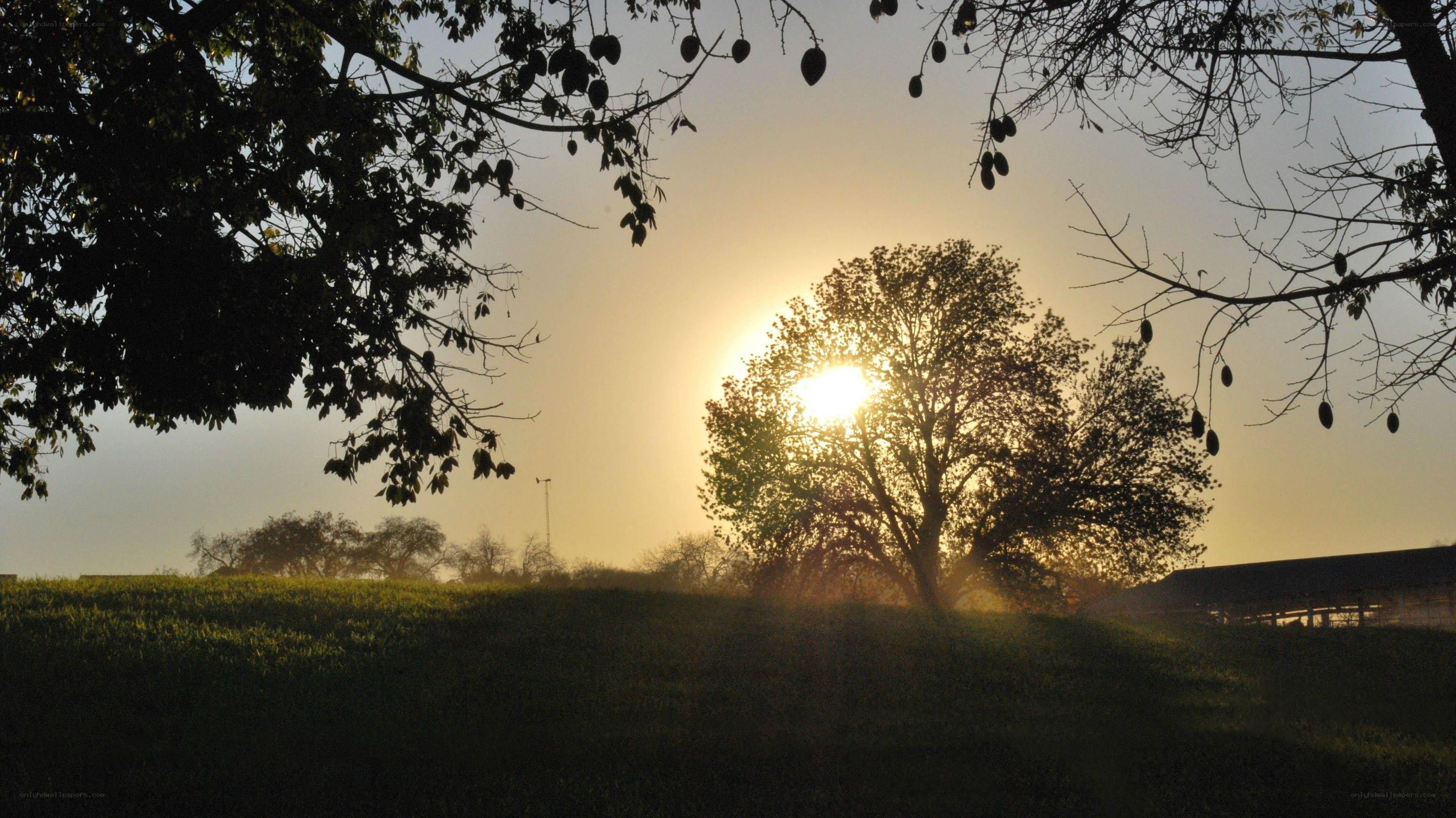 Sunset over a rural field