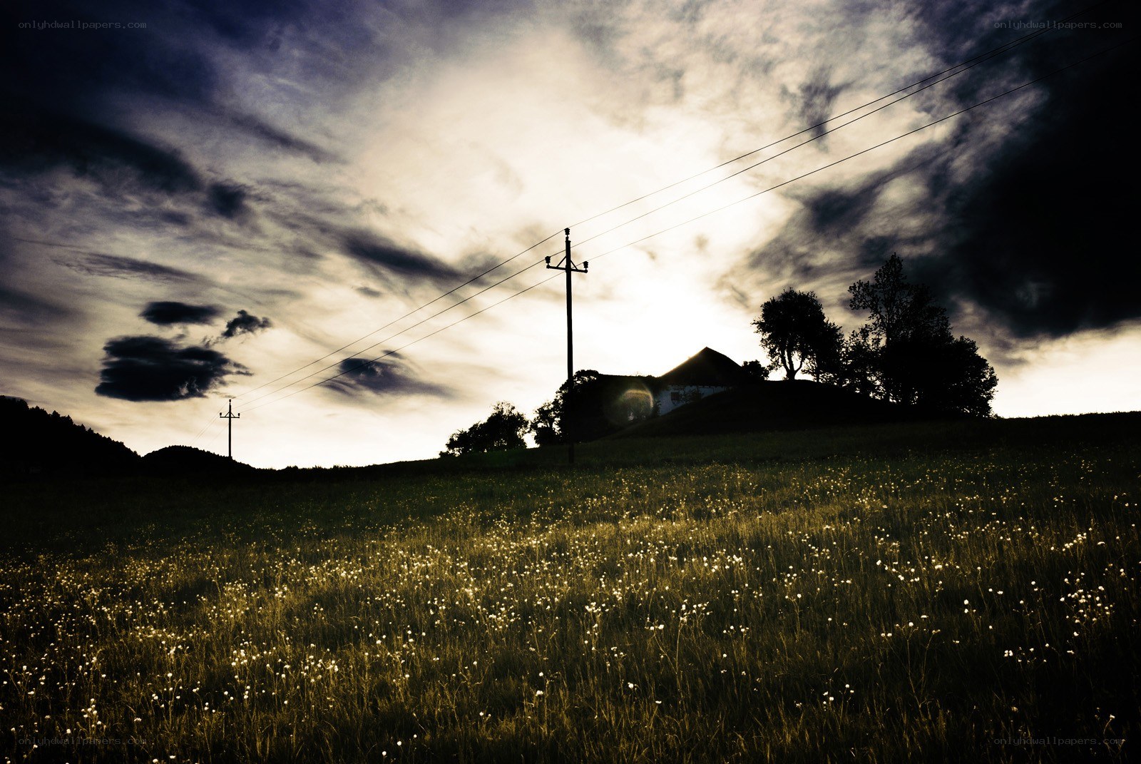 Sunset over a rural field
