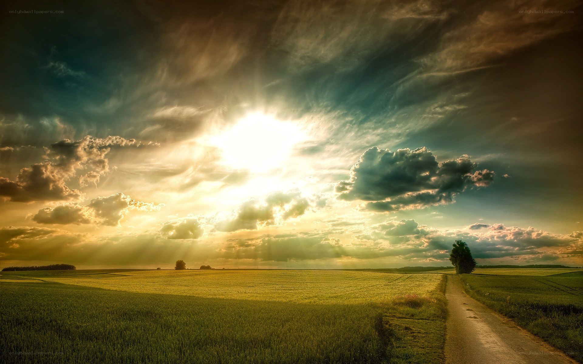 Sunset over a rural field