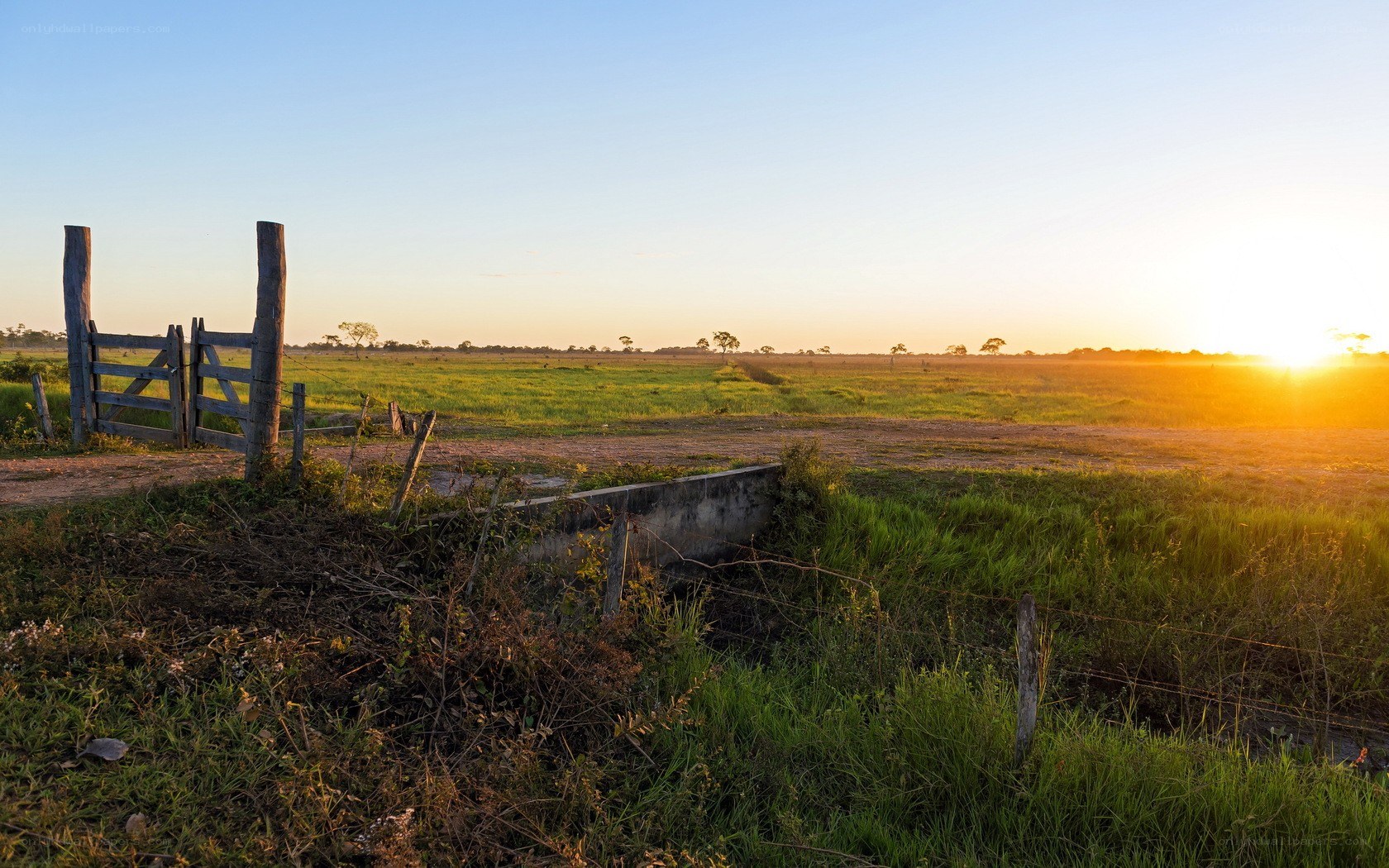 Sunset over a rural field