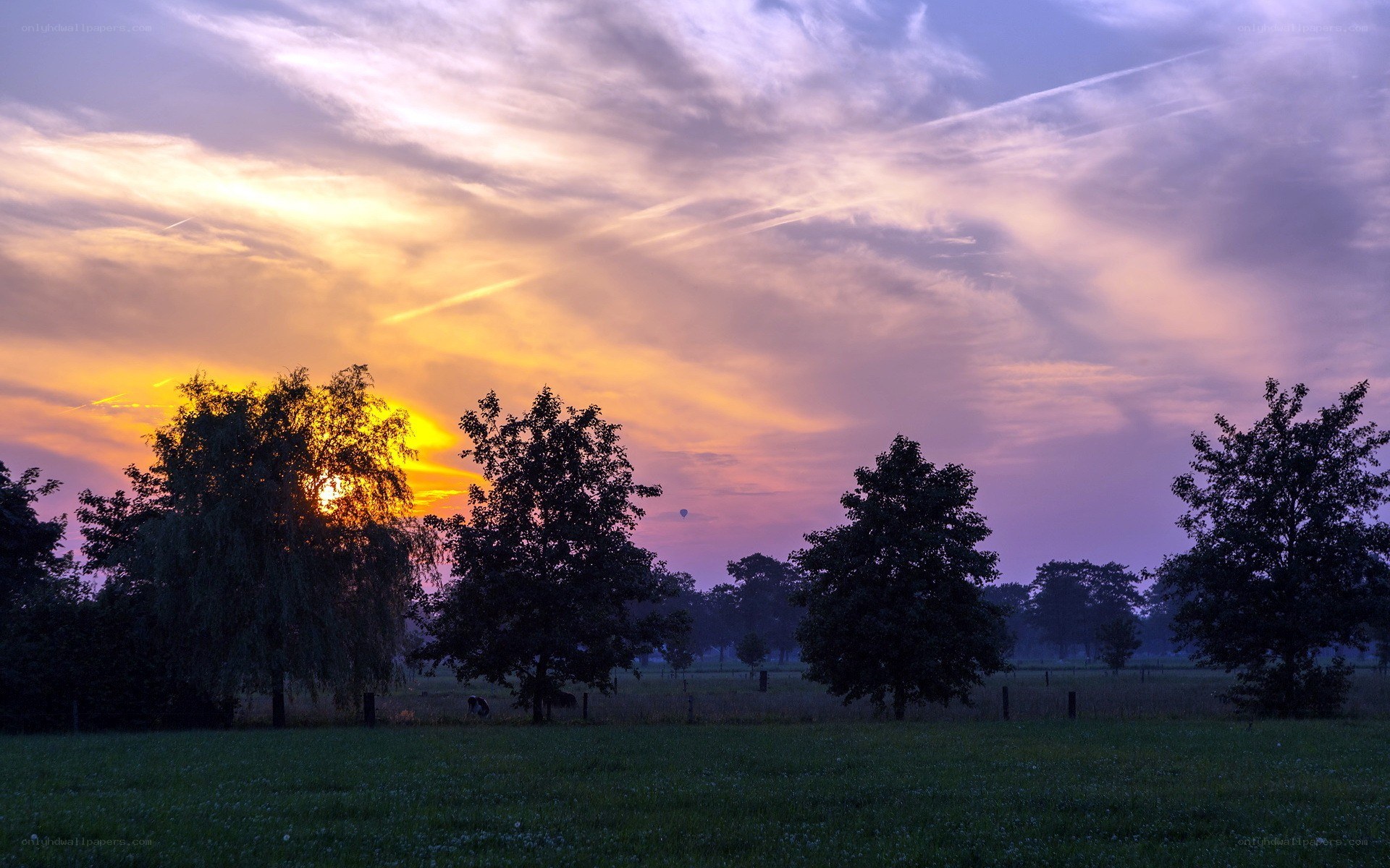 sunset over a rural field