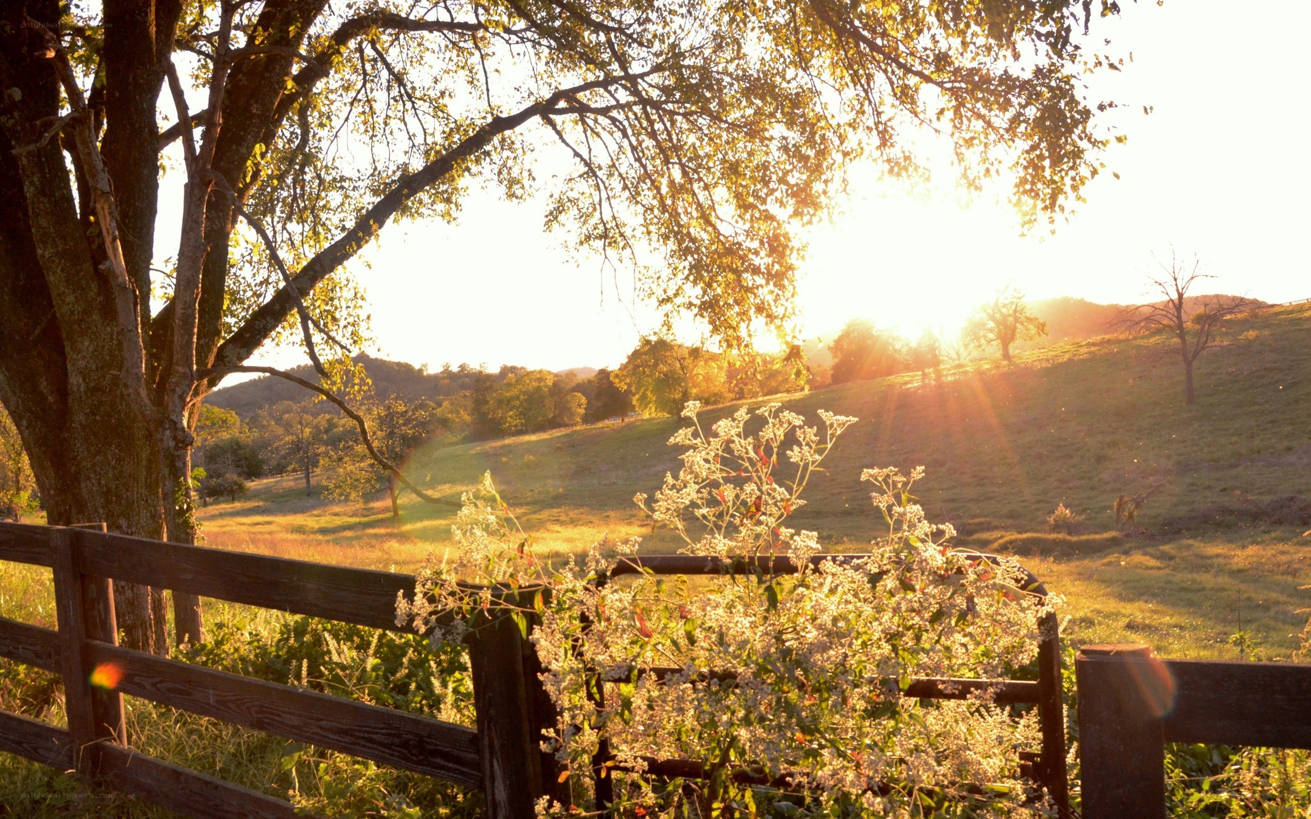 Sunset over a rural field