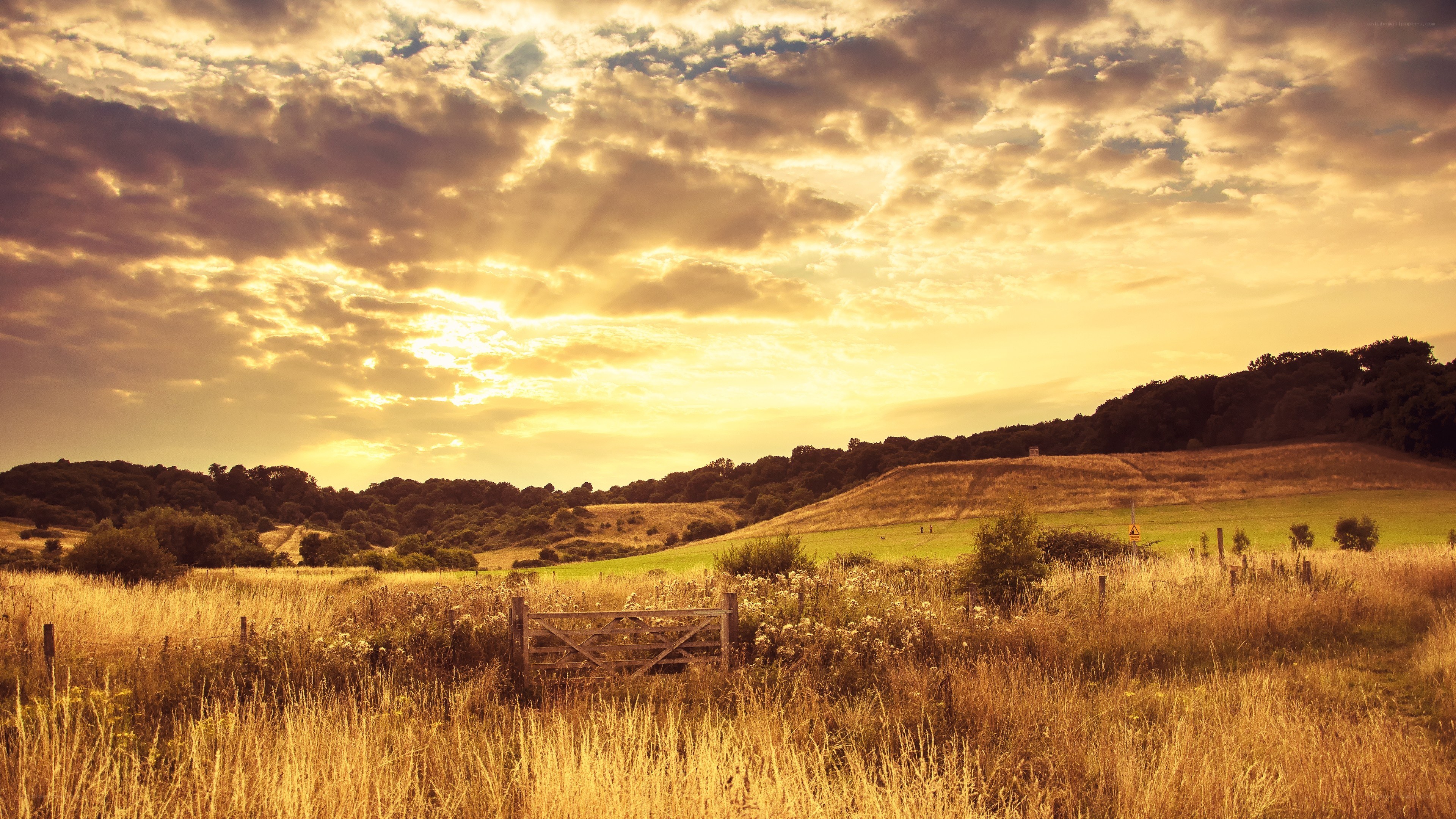 Sunset over a rural field