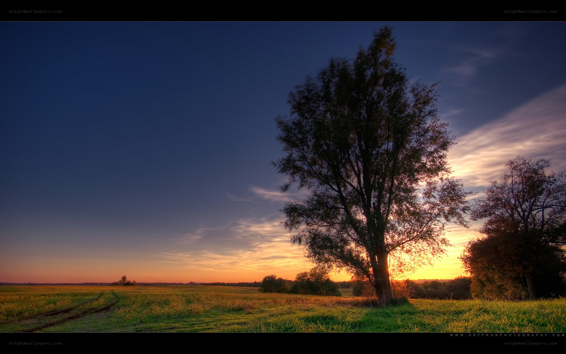 Sunset over a rural field