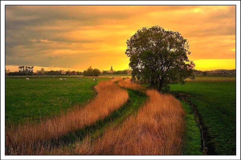 Sunset over a rural landscape