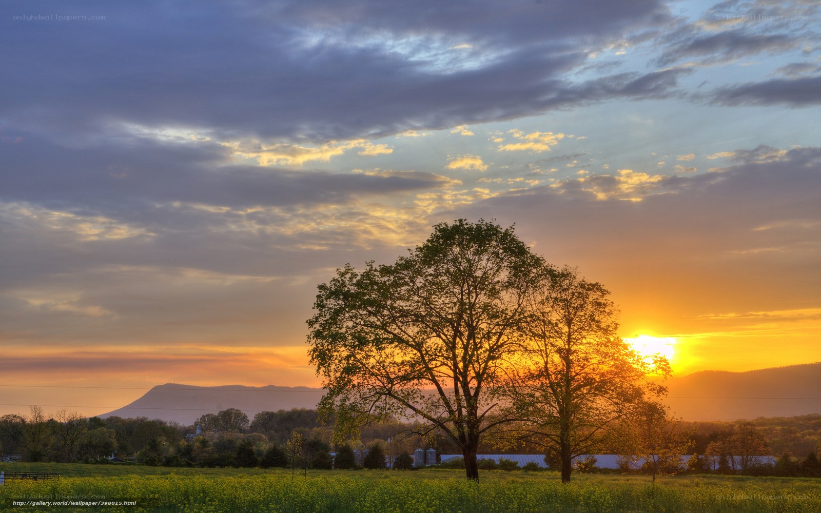 Sunset over a rural landscape