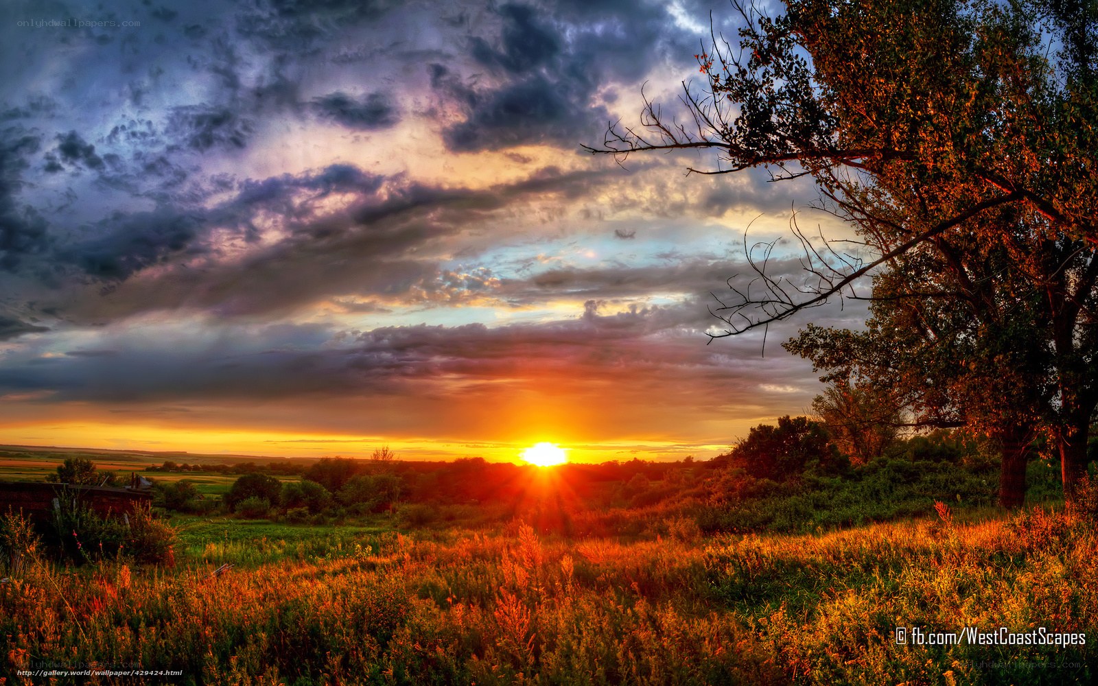 sunset over a rural landscape