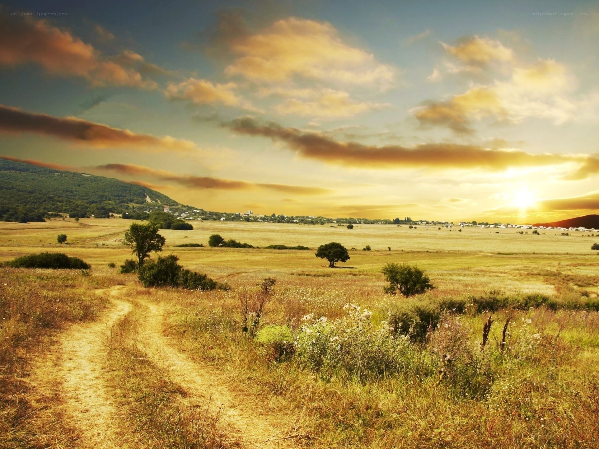 Sunset over a rural landscape