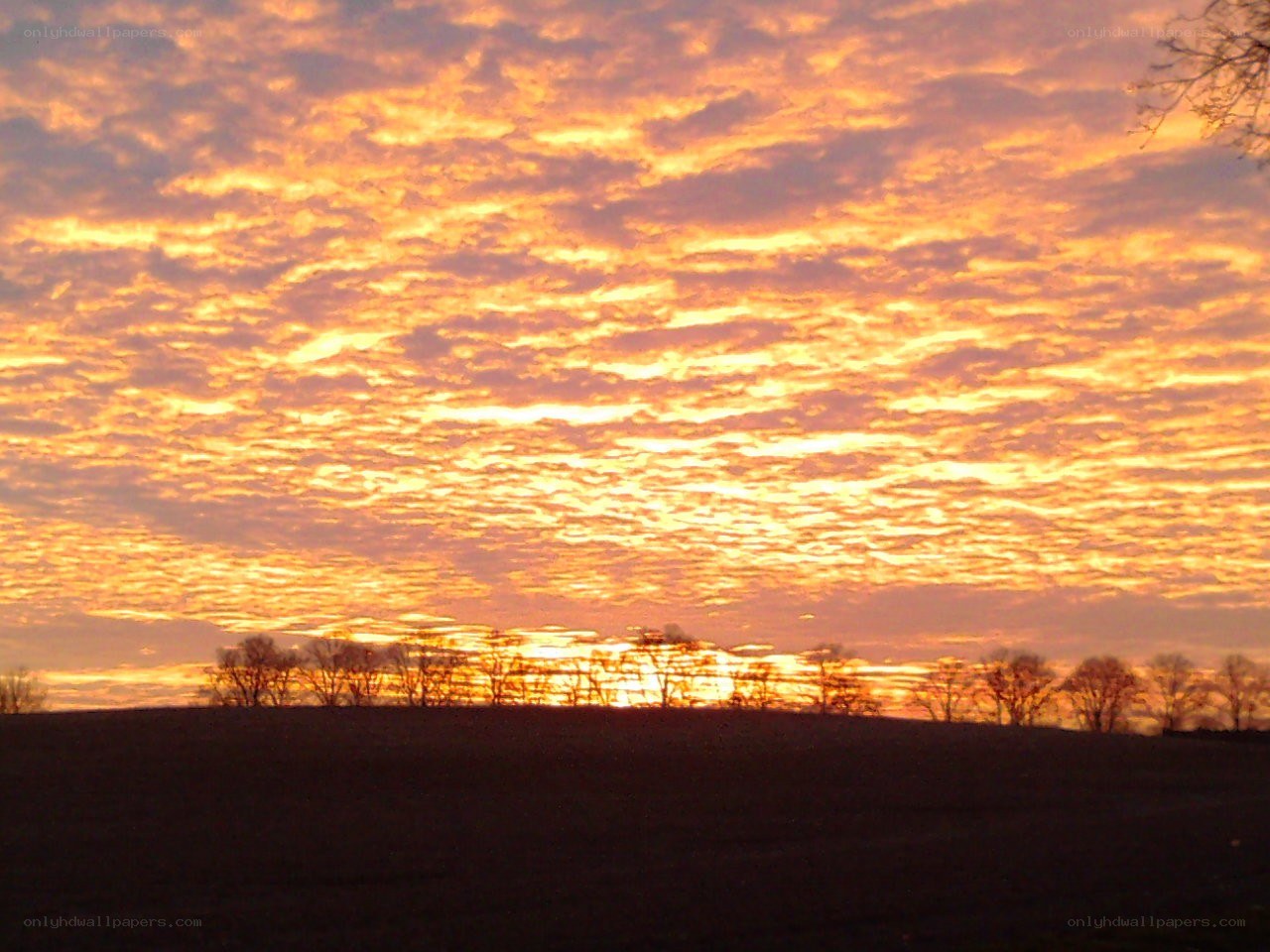Sunset over a rural landscape