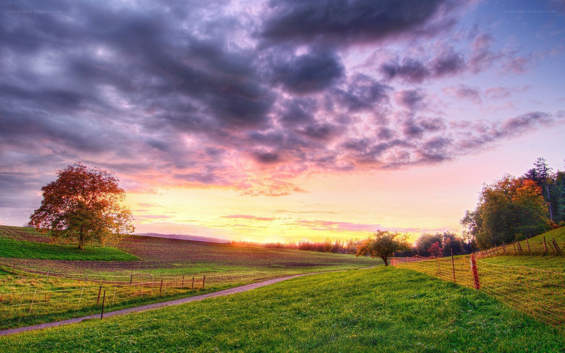 Sunset over a rural landscape