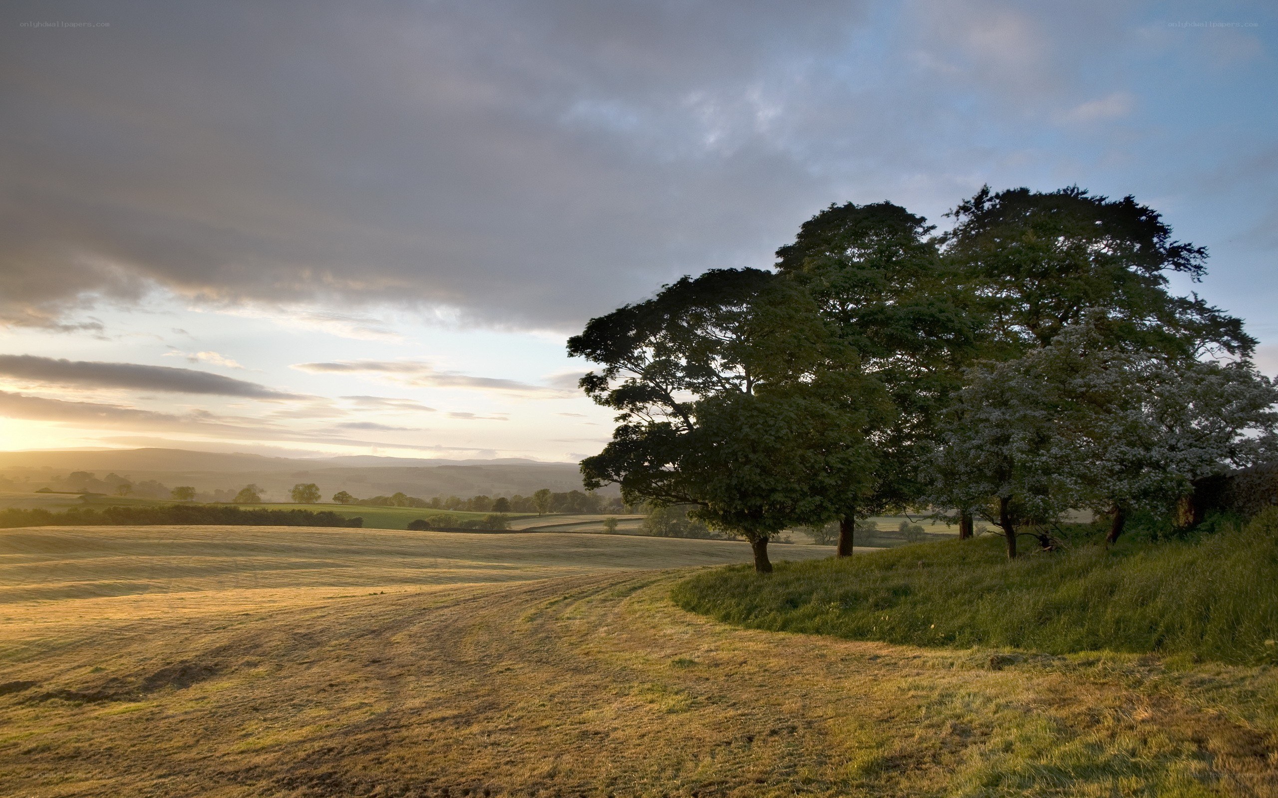 Sunset over a rural landscape
