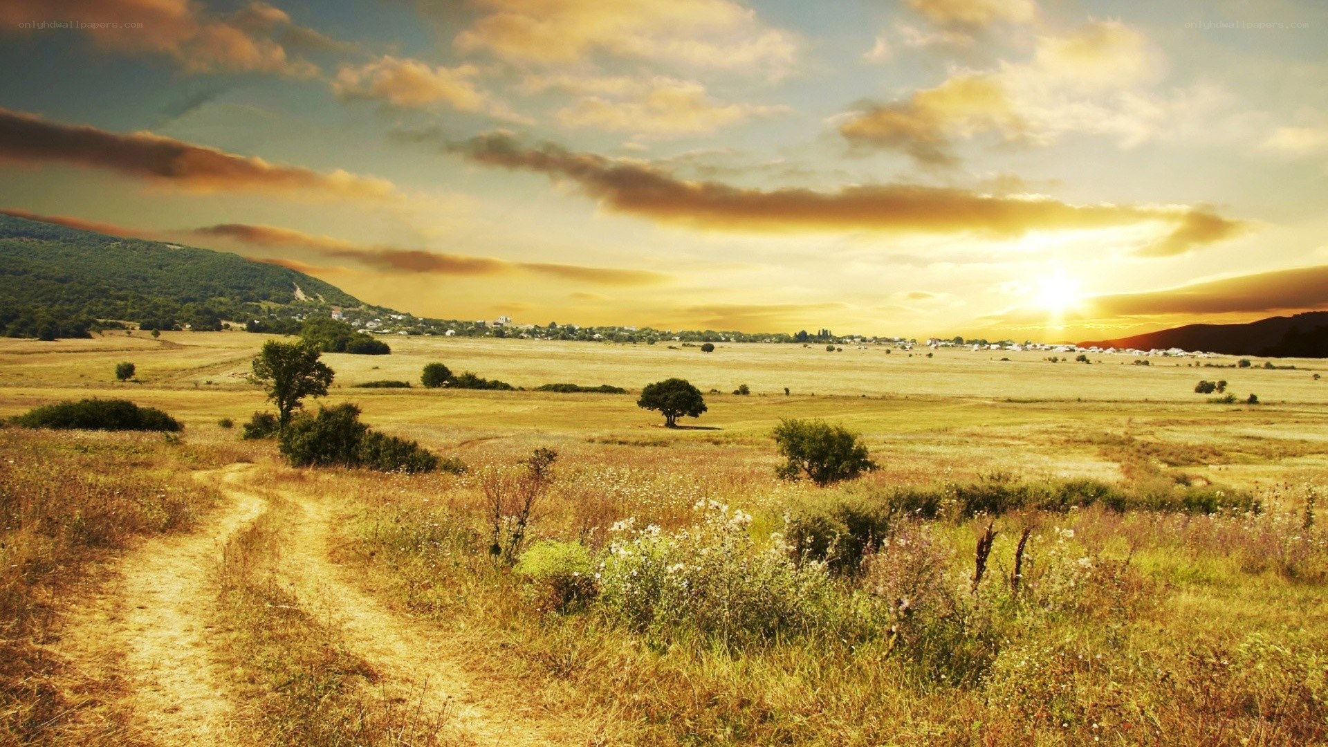 Sunset over a rural landscape