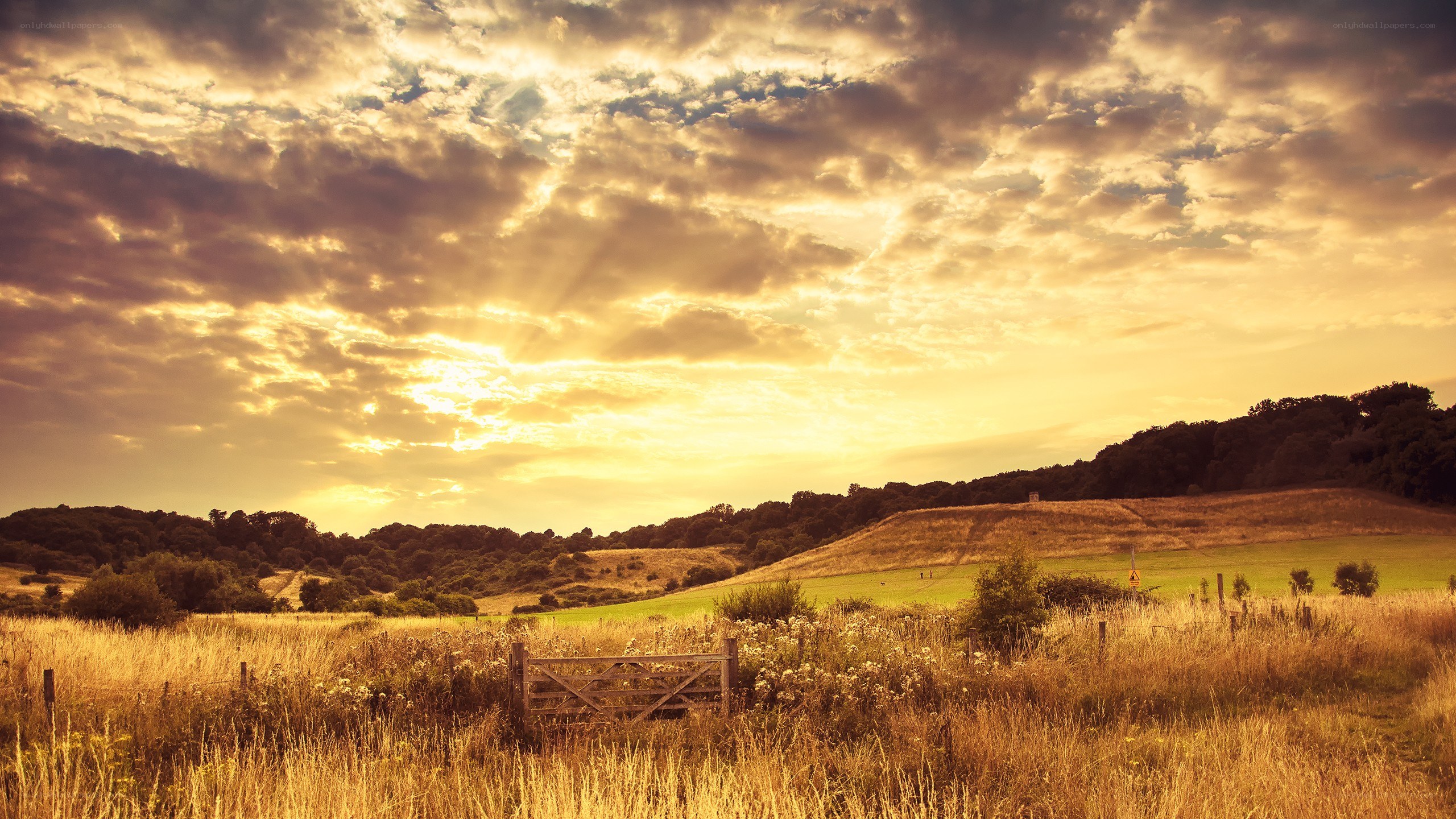 Sunset over a rural landscape