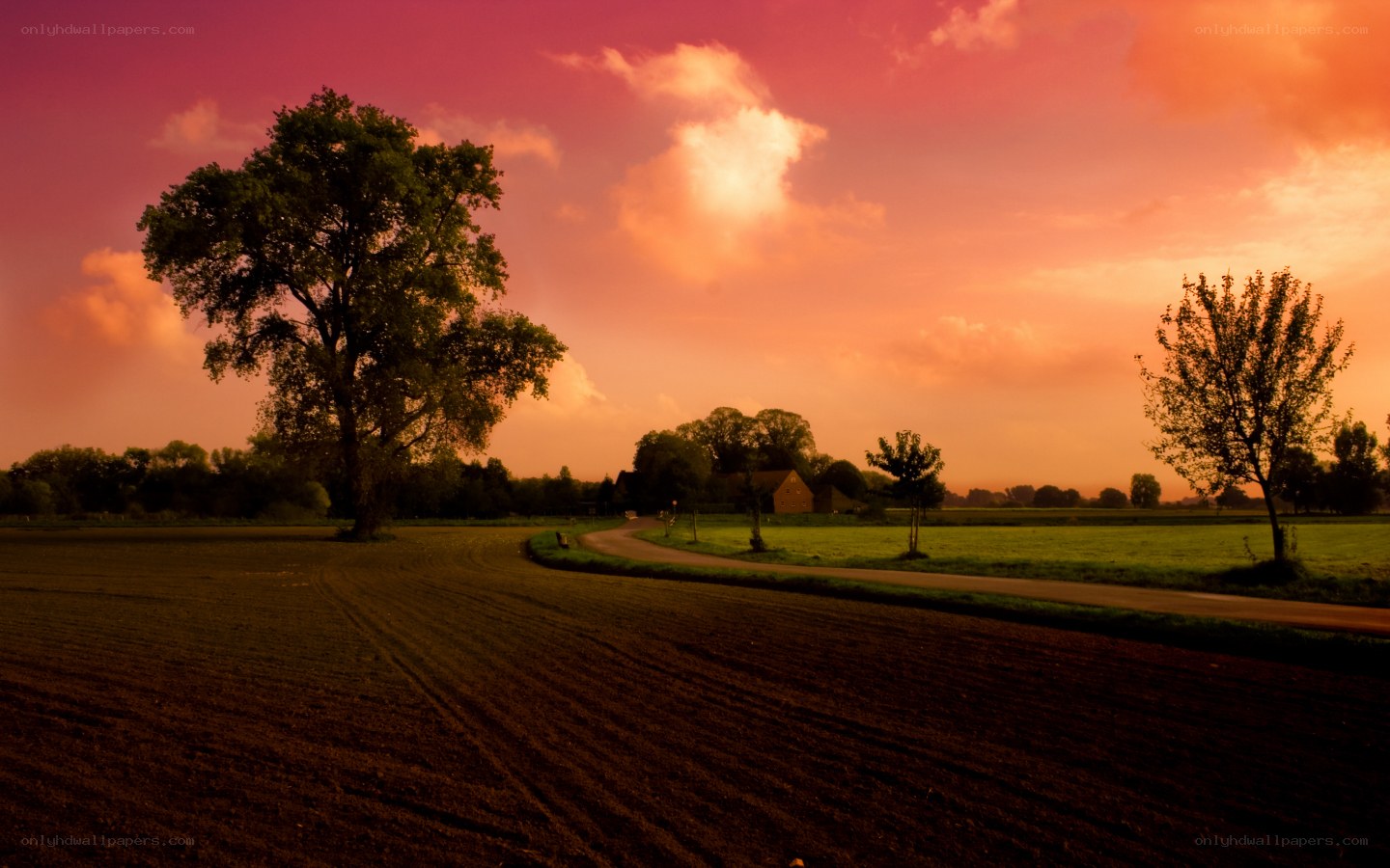 Sunset over a rural landscape