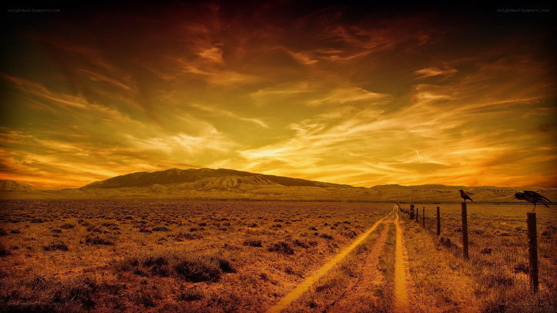 Sunset over a rural path