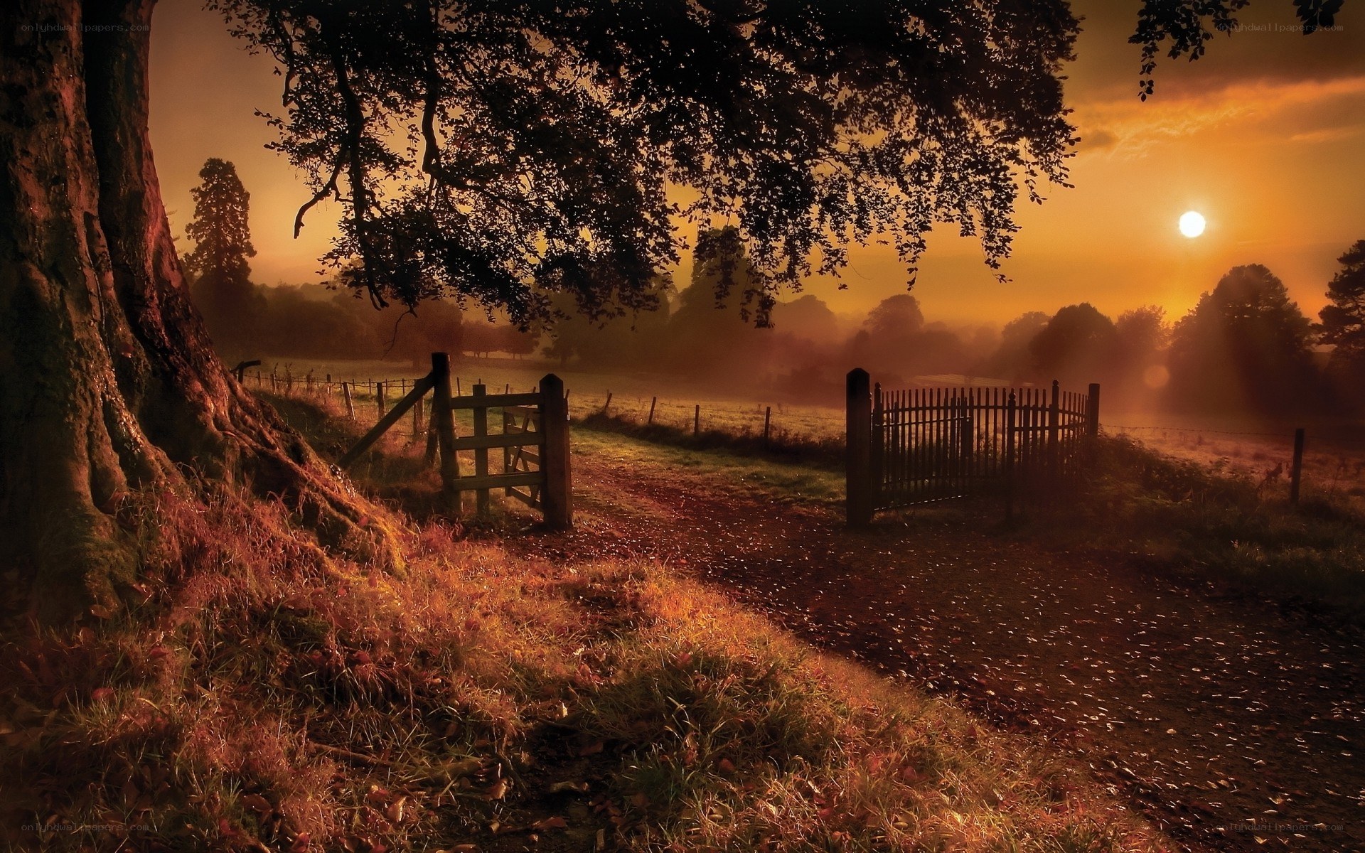 Sunset over a rural path