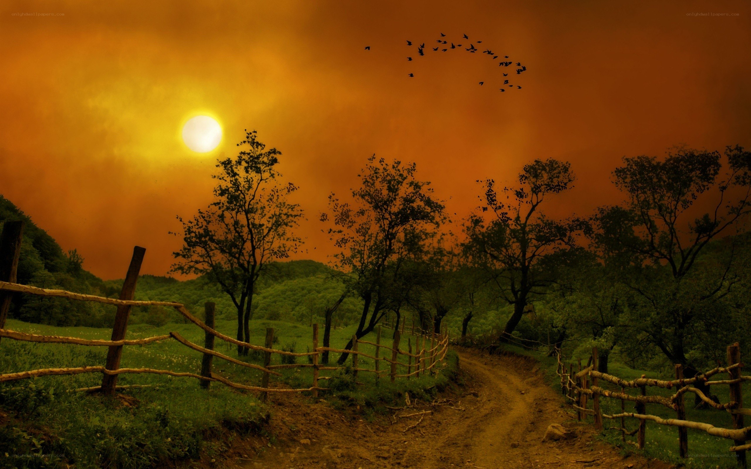 Sunset over a rural path
