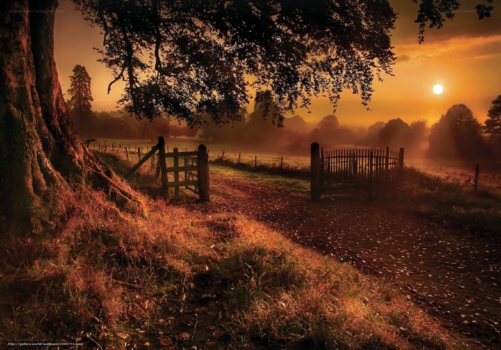 Sunset over a rural path