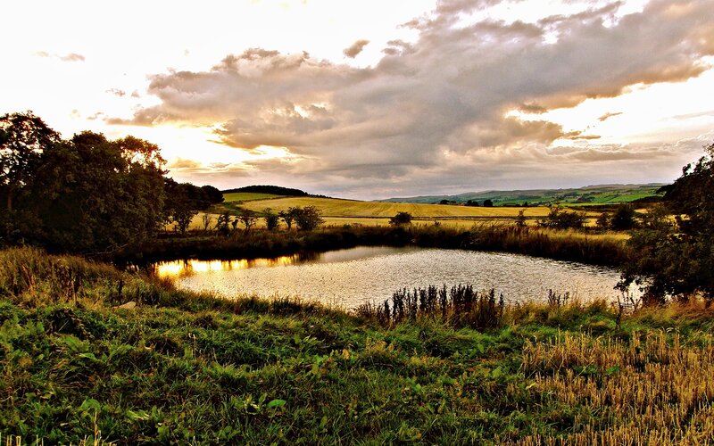 Sunset over a rural pond