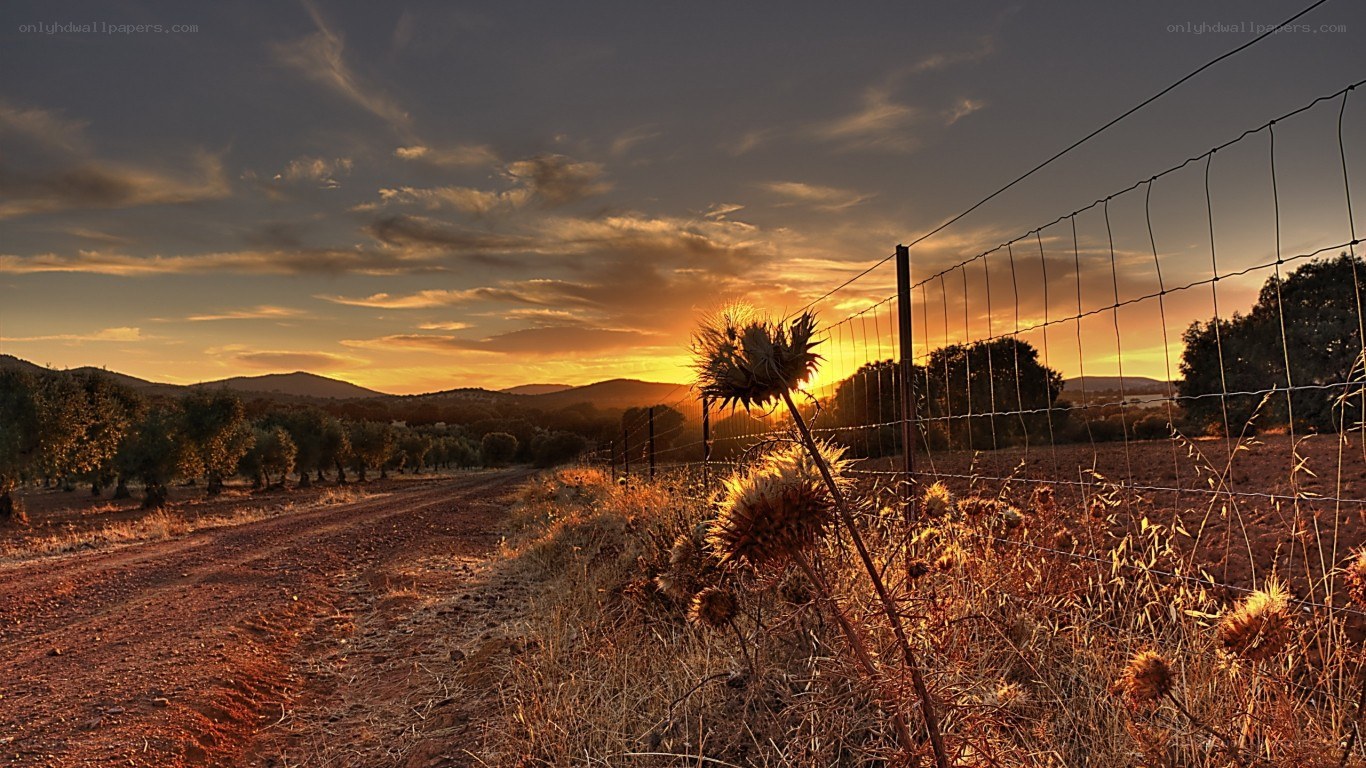 Sunset over a rural road