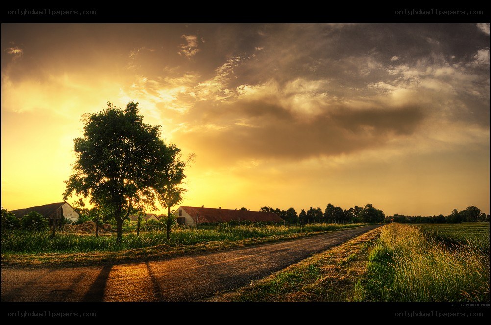Sunset over a rural road